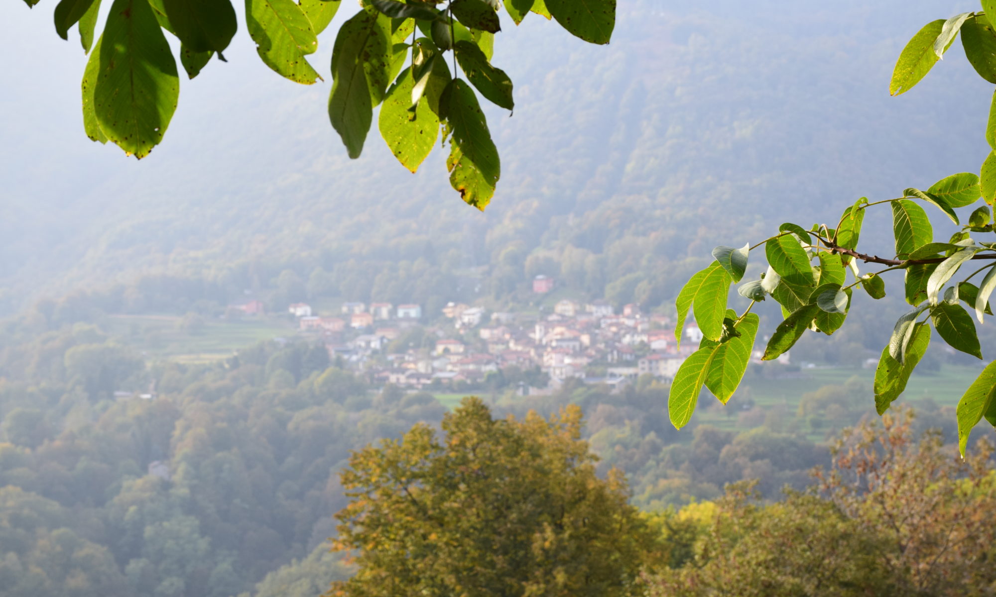 Übersetzungen Einsiedeln