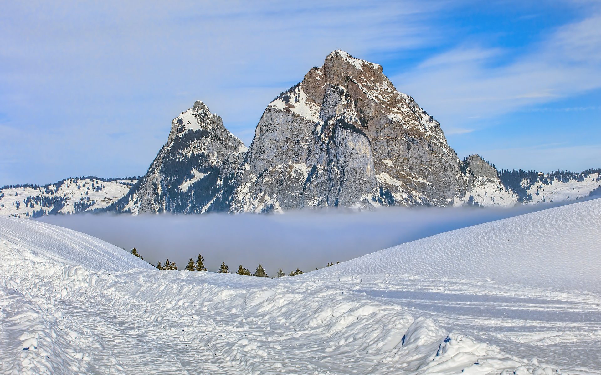 Übersetzungen Kanton Schwyz