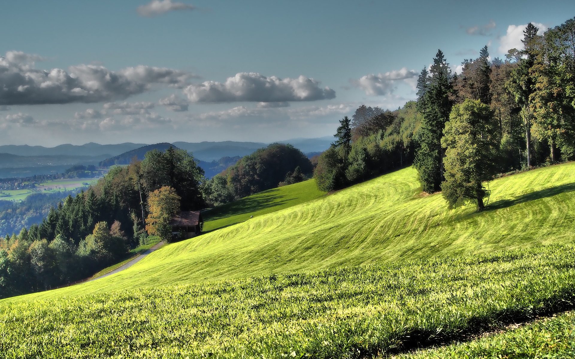 Übersetzungsbüro Affoltern am Albis