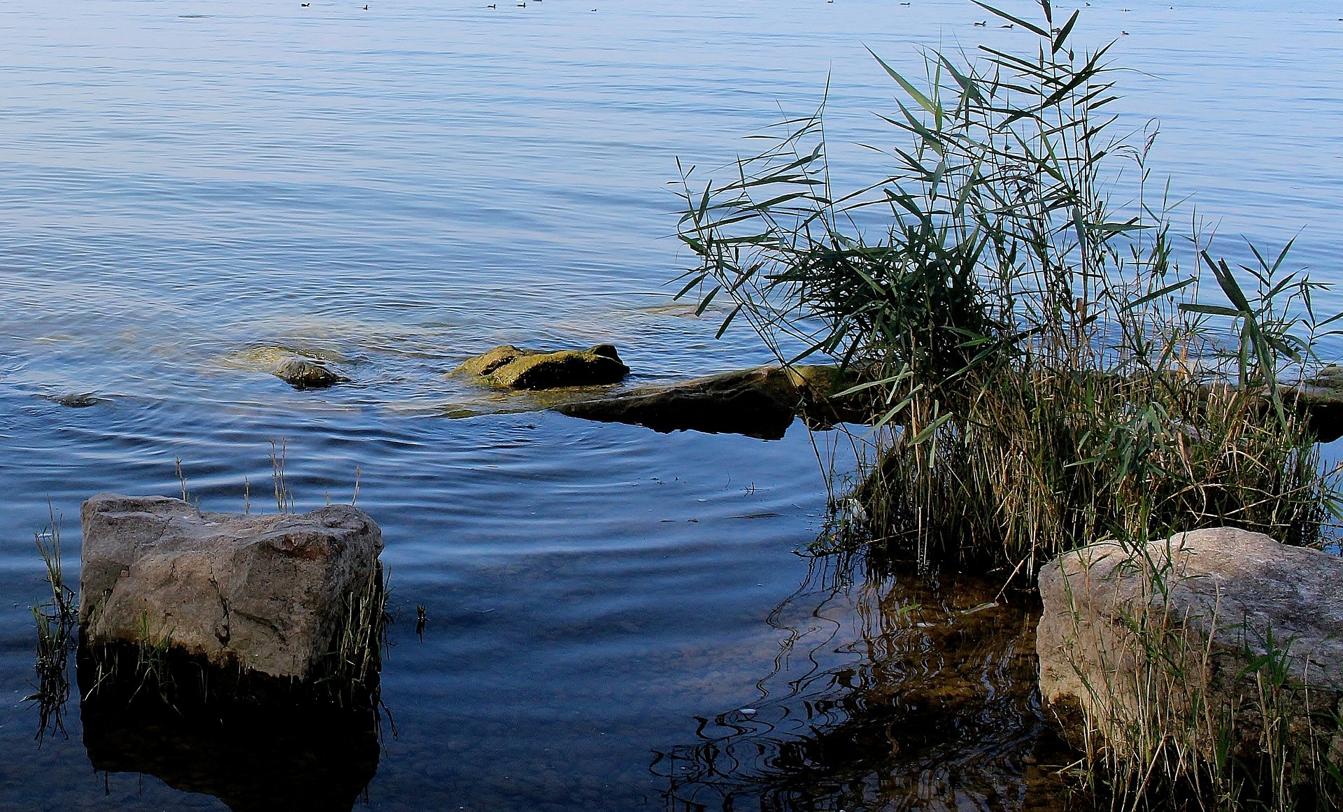 Übersetzungsbüro Arbon