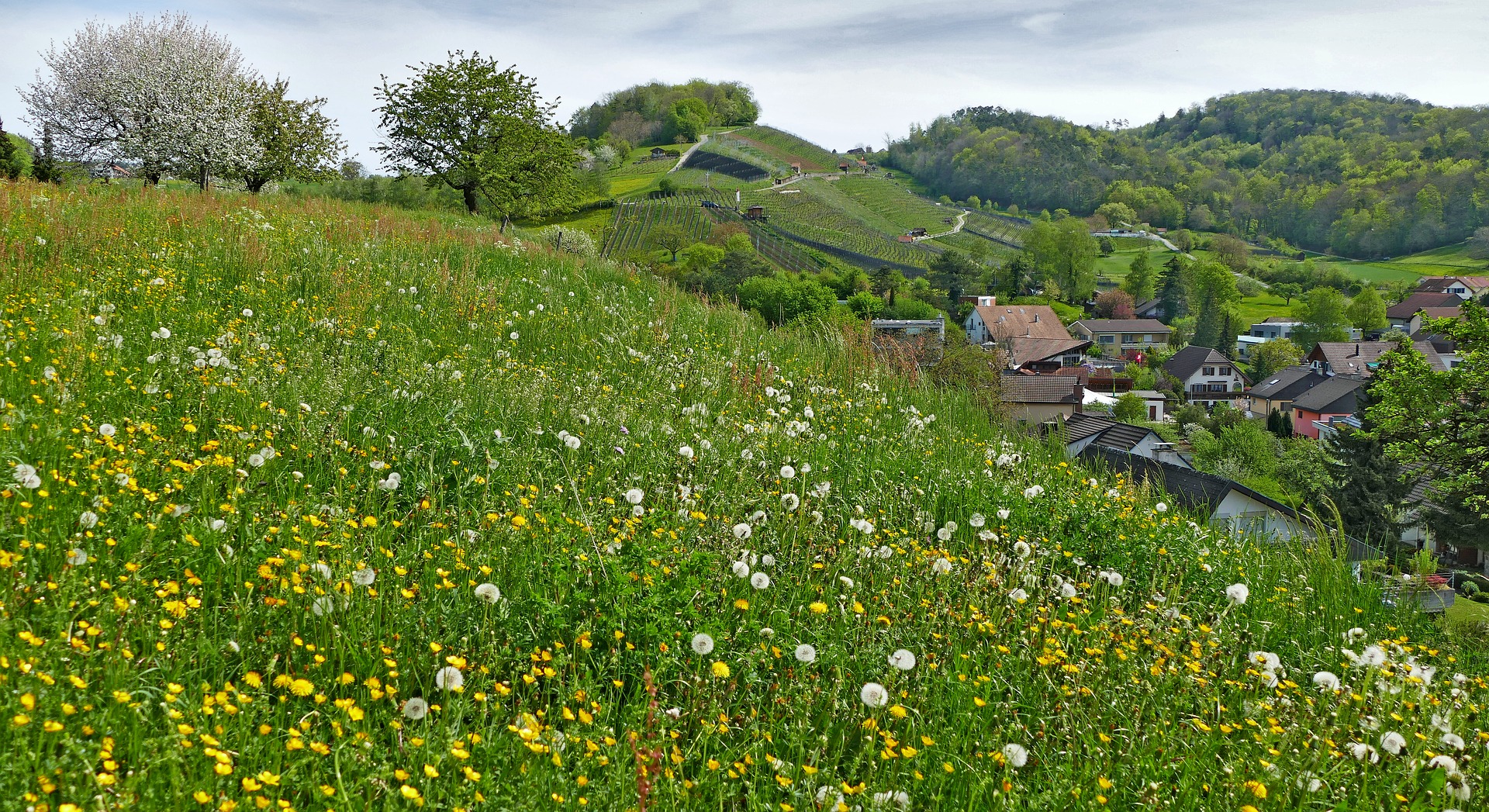 Übersetzungsbüro Birmensdorf