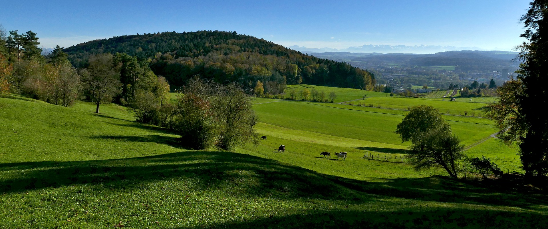 Übersetzungsbüro Bülach