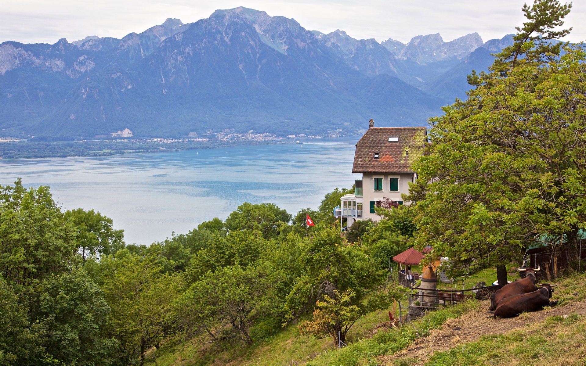 Übersetzungsbüro MONTREUX