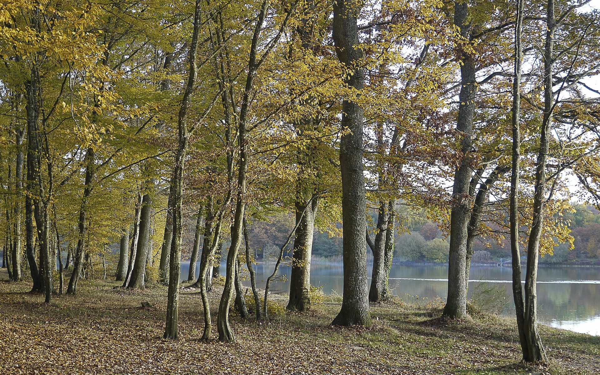 Übersetzungsbüro Moutier