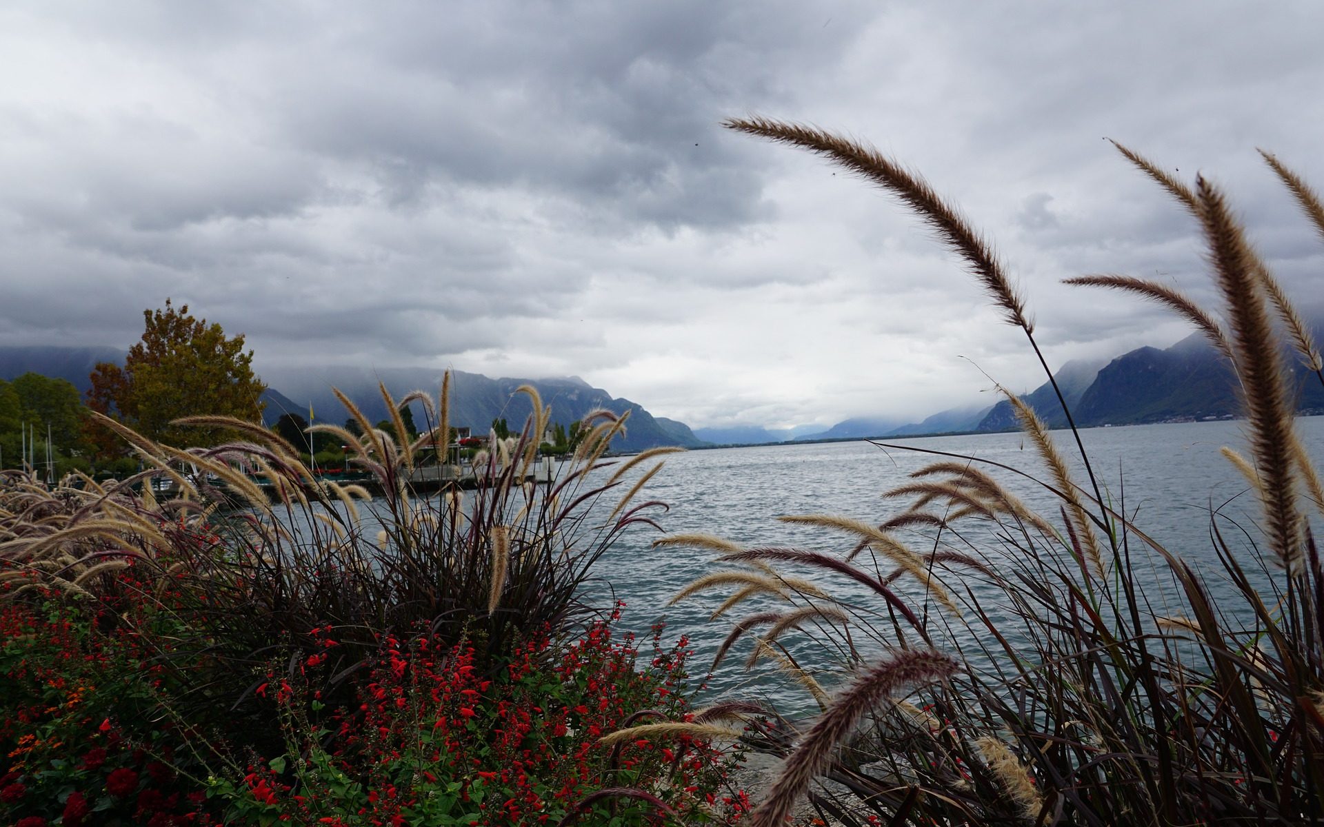 Übersetzungsbüro Vevey