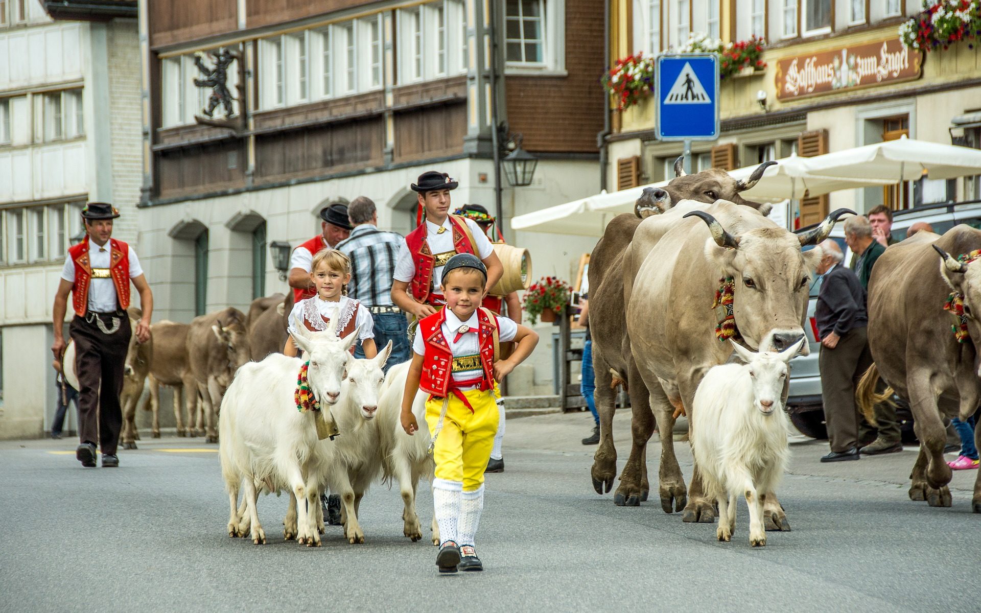 Übersetzungsbüro Appenzell