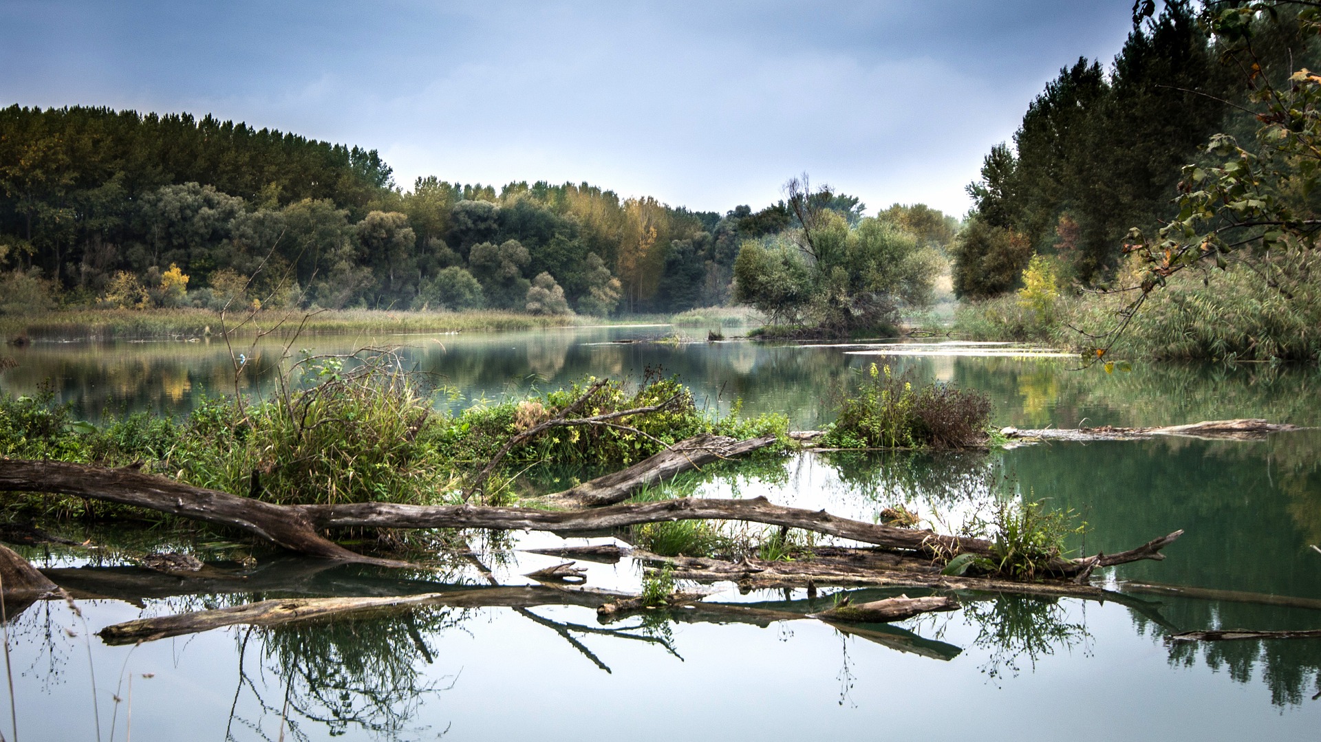 ÜBERSETZUNGSBÜRO WETZIKON