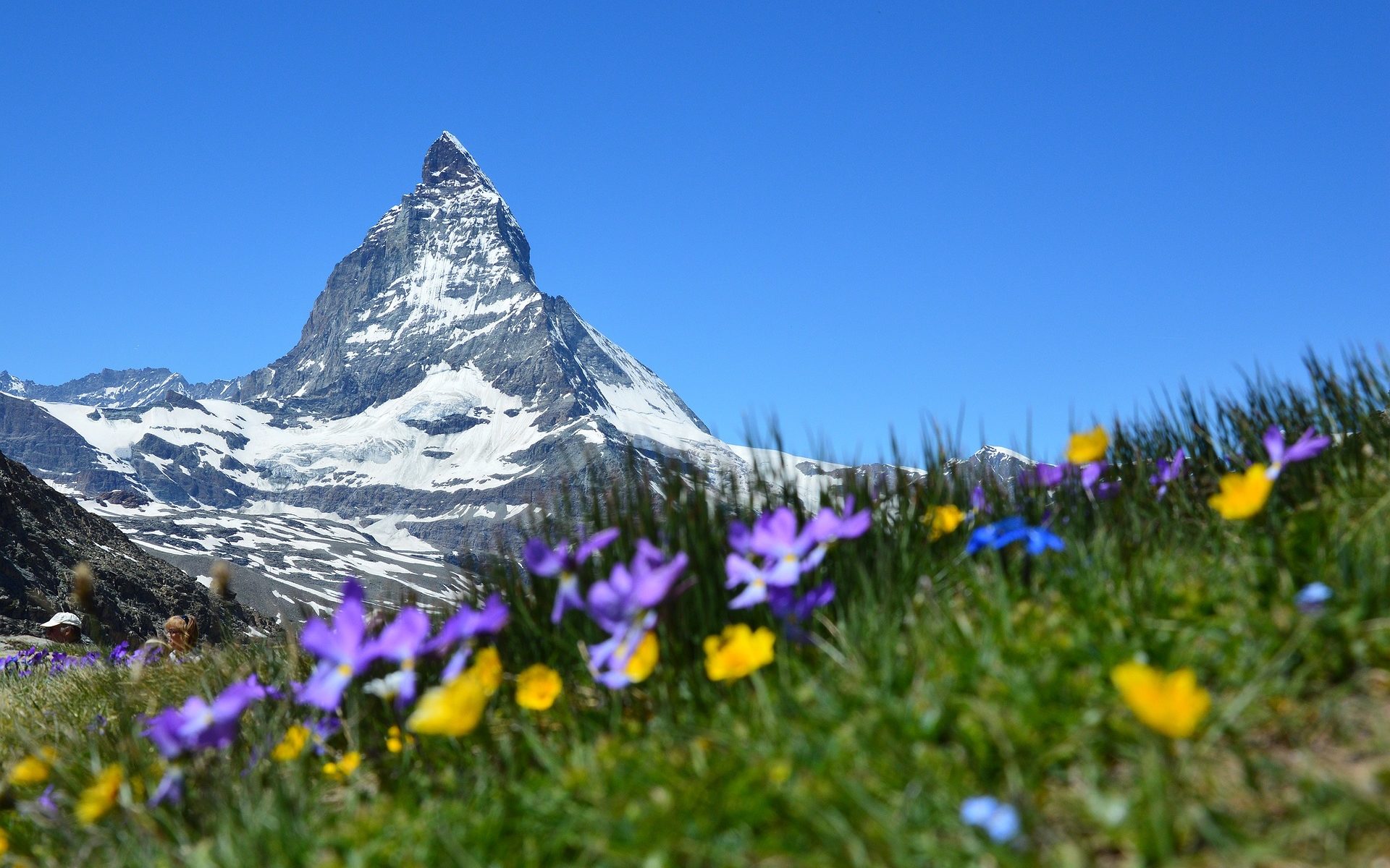 Übersetzungsbüro Kanton Wallis