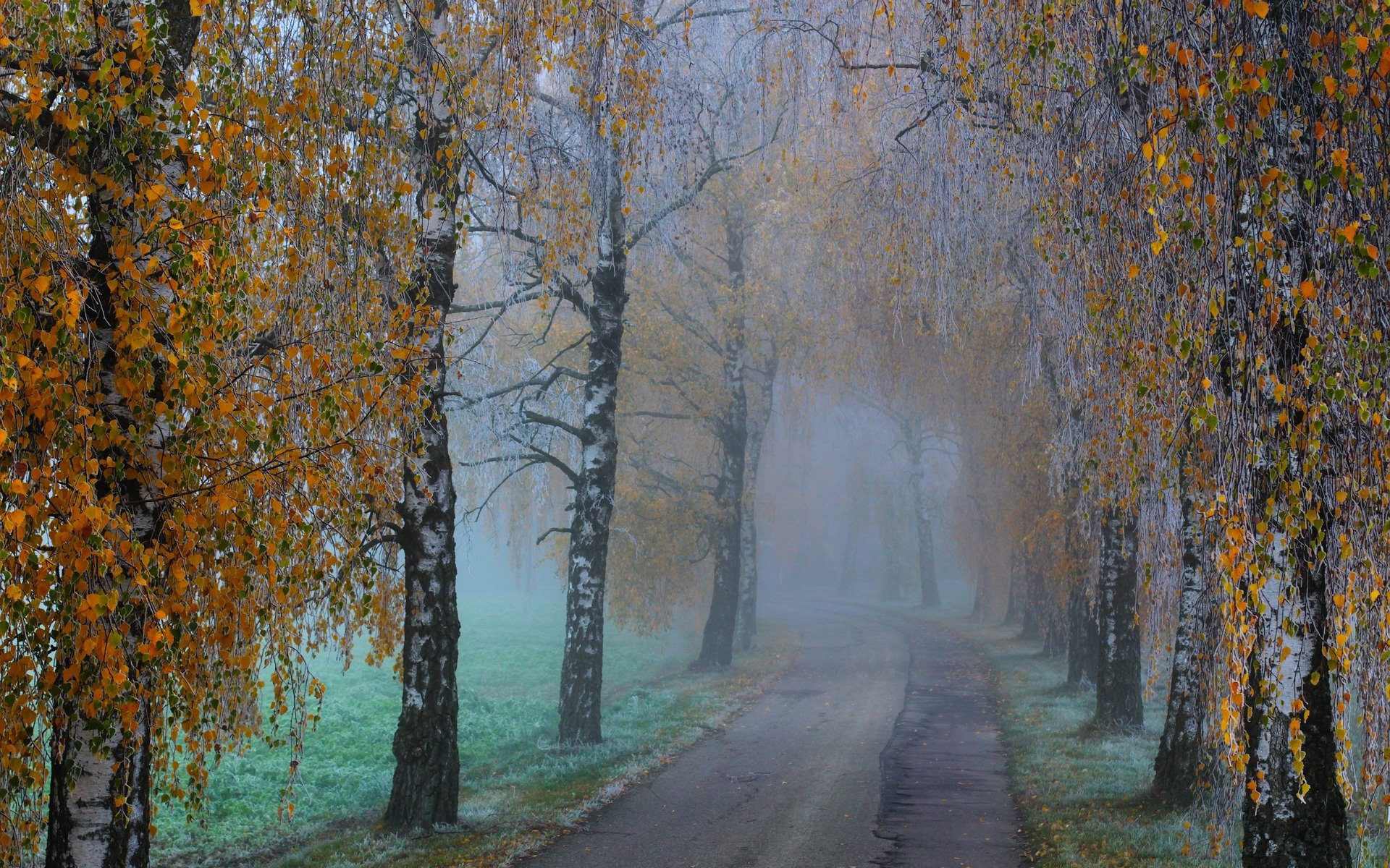 Übersetzungsbüro Opfikon