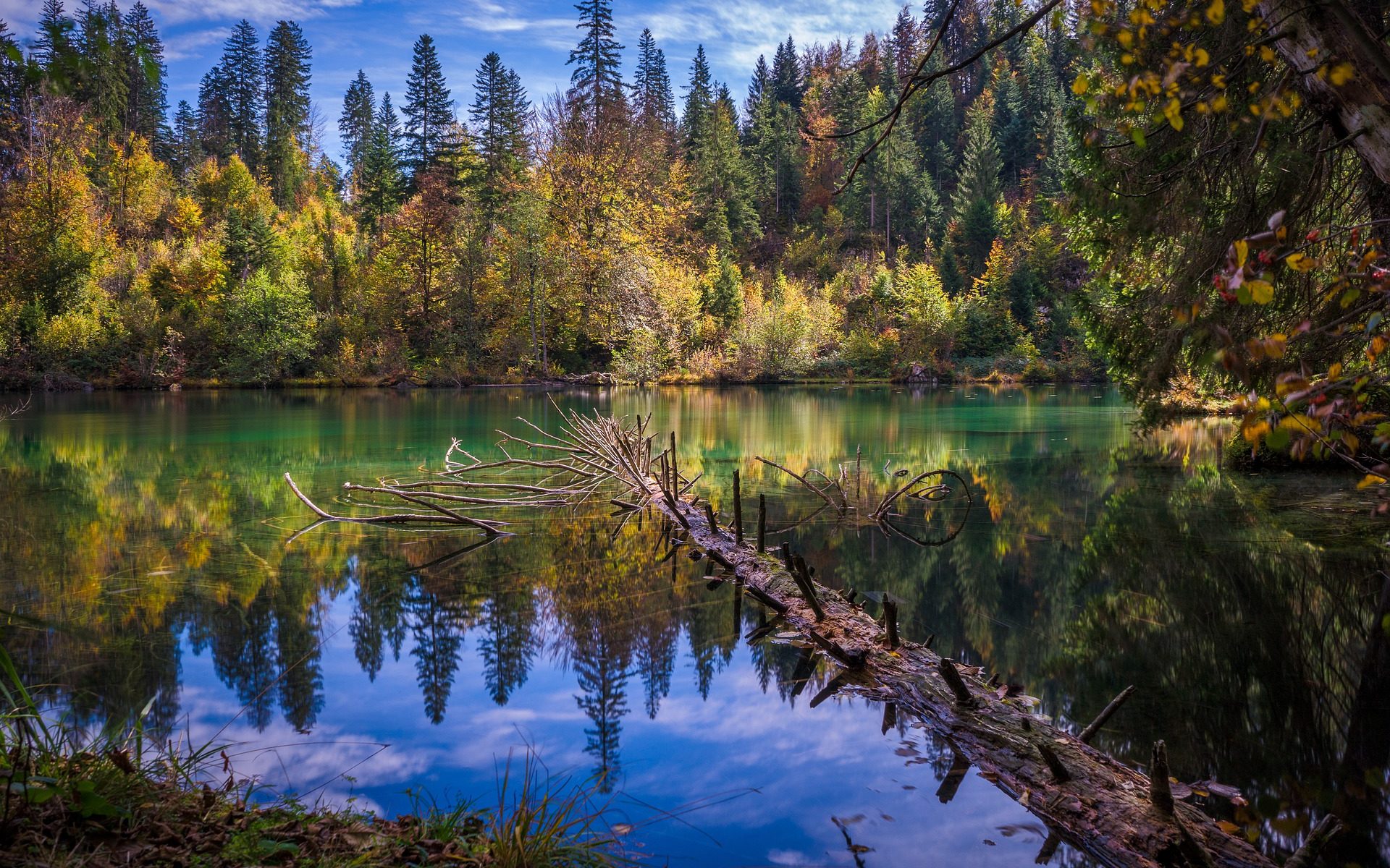 Übersetzungsbüro Neftenbach