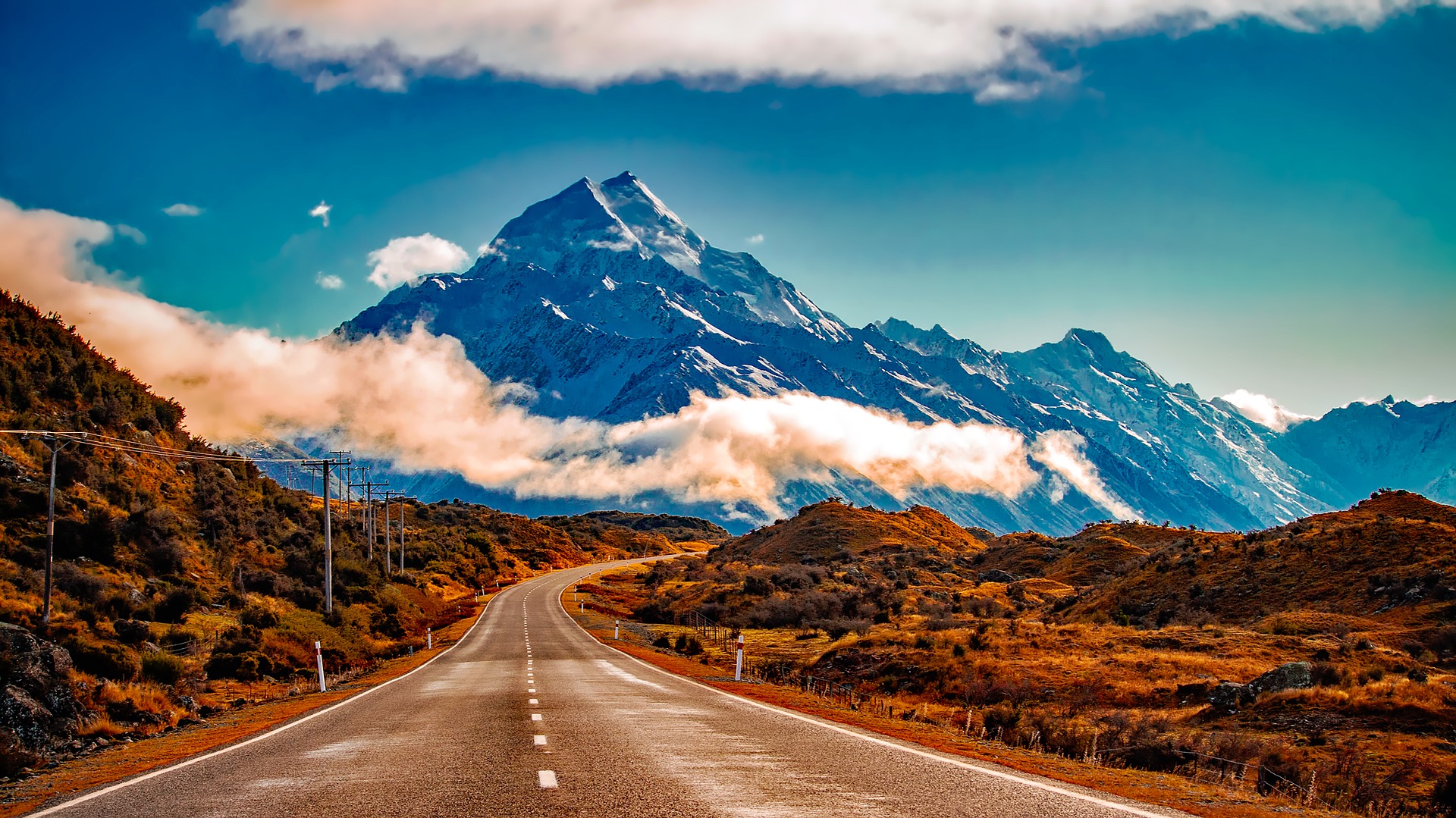 Neuseeland Übersetzung Übersetzer