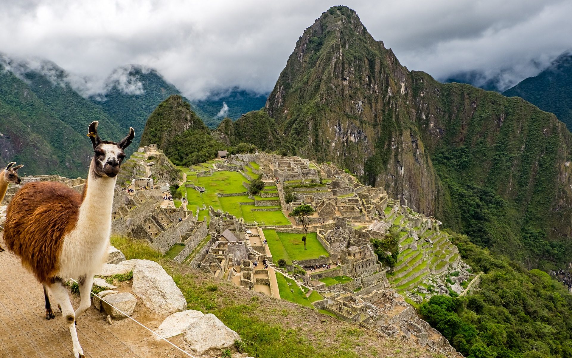 Peru Übersetzung Übersetzer