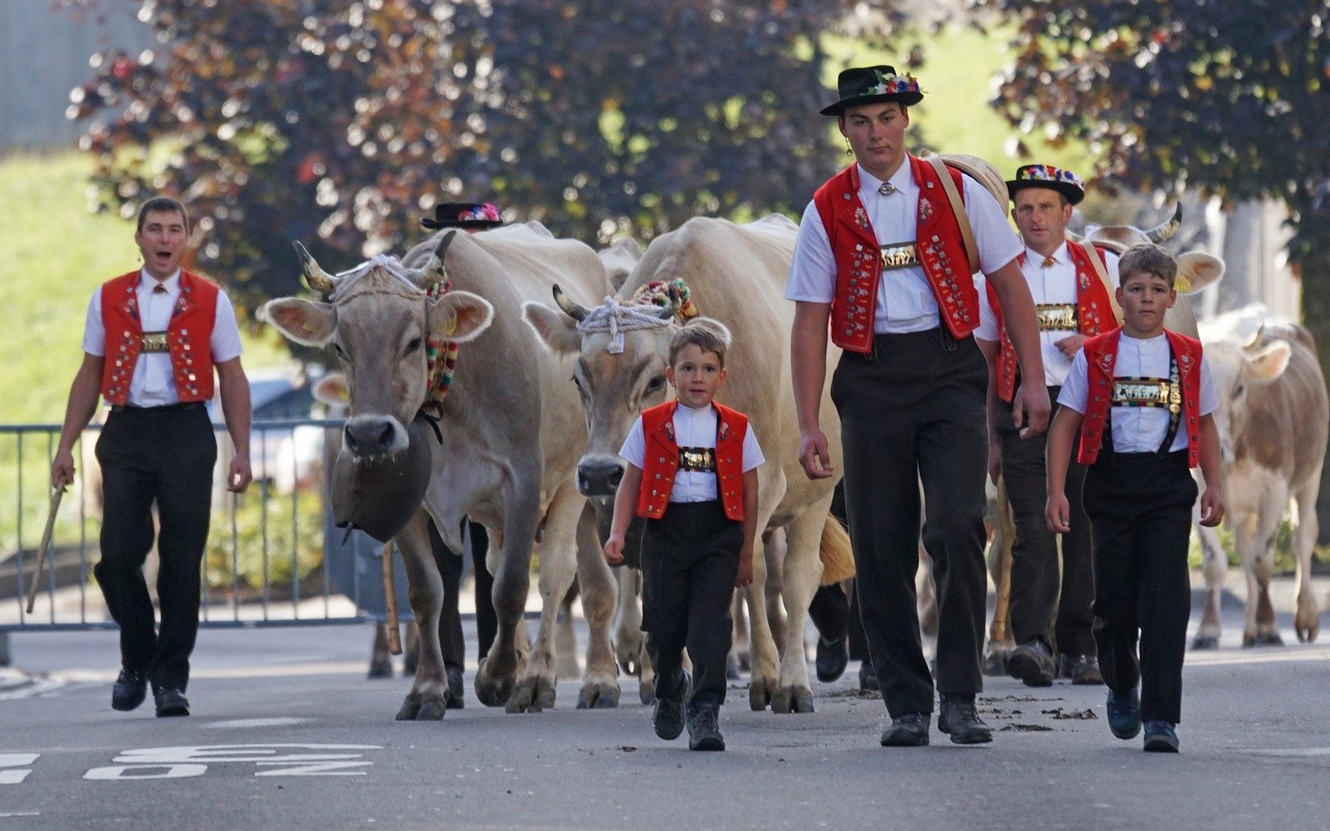 Schweizer Hochdeutsch