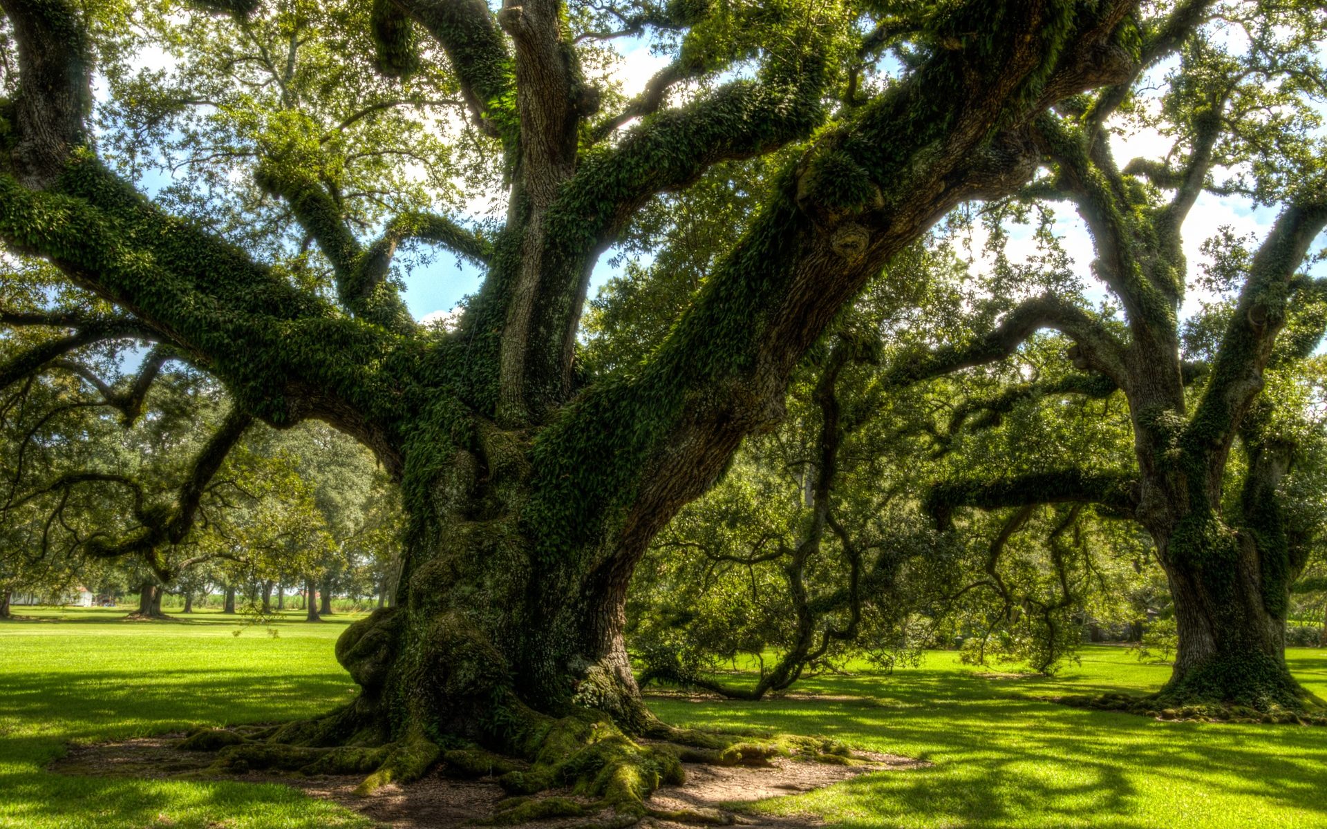 Übersetzung Türkisch Englisch Zürich