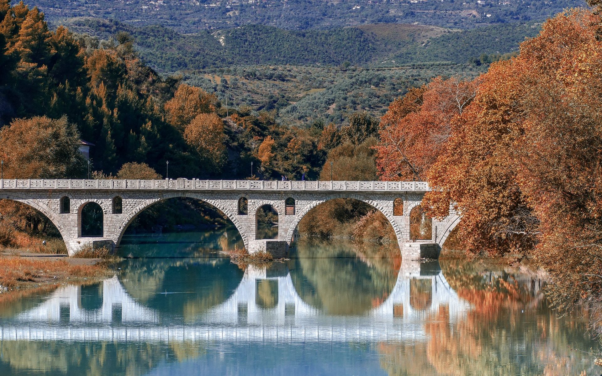 Albanien Übersetzung Übersetzer