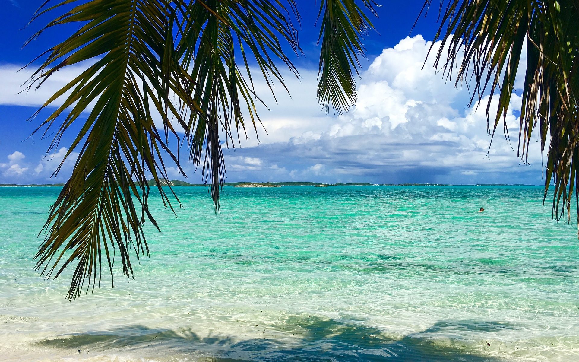 Englisch übersetzen Zürich Bahamas