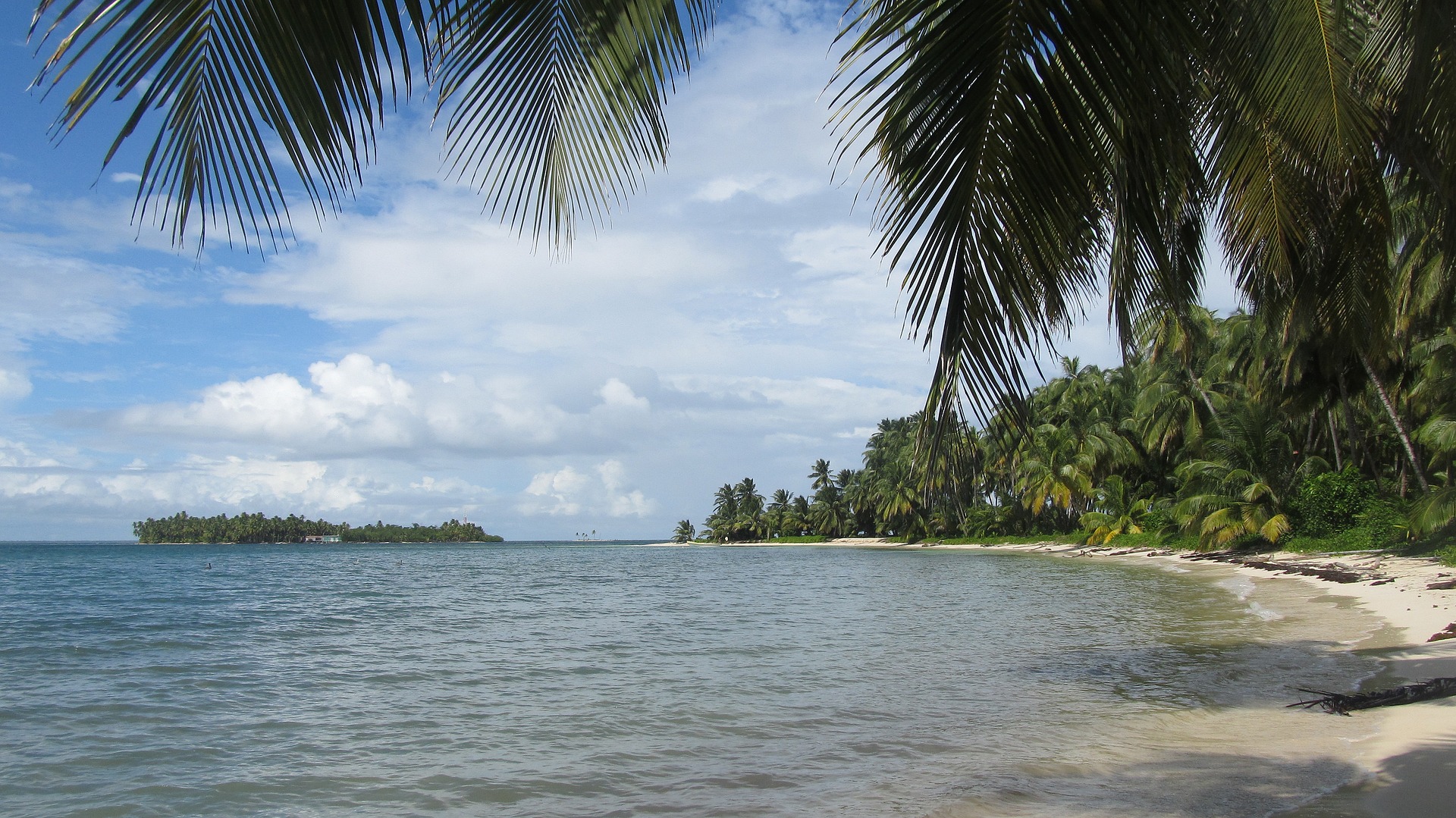 Englisch übersetzen Zürich Trinidad und Tobago