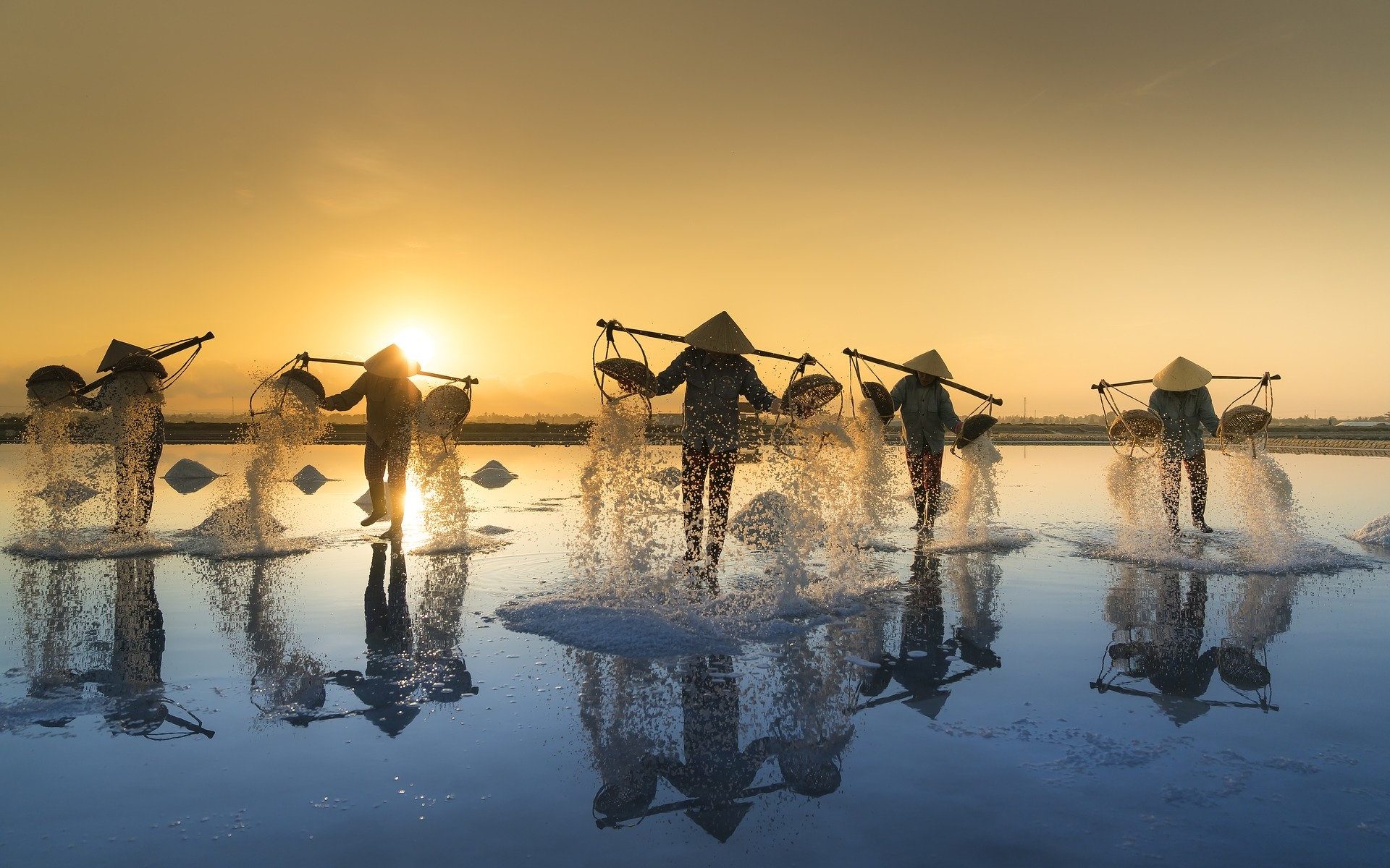 Vietnam Übersetzung Übersetzer