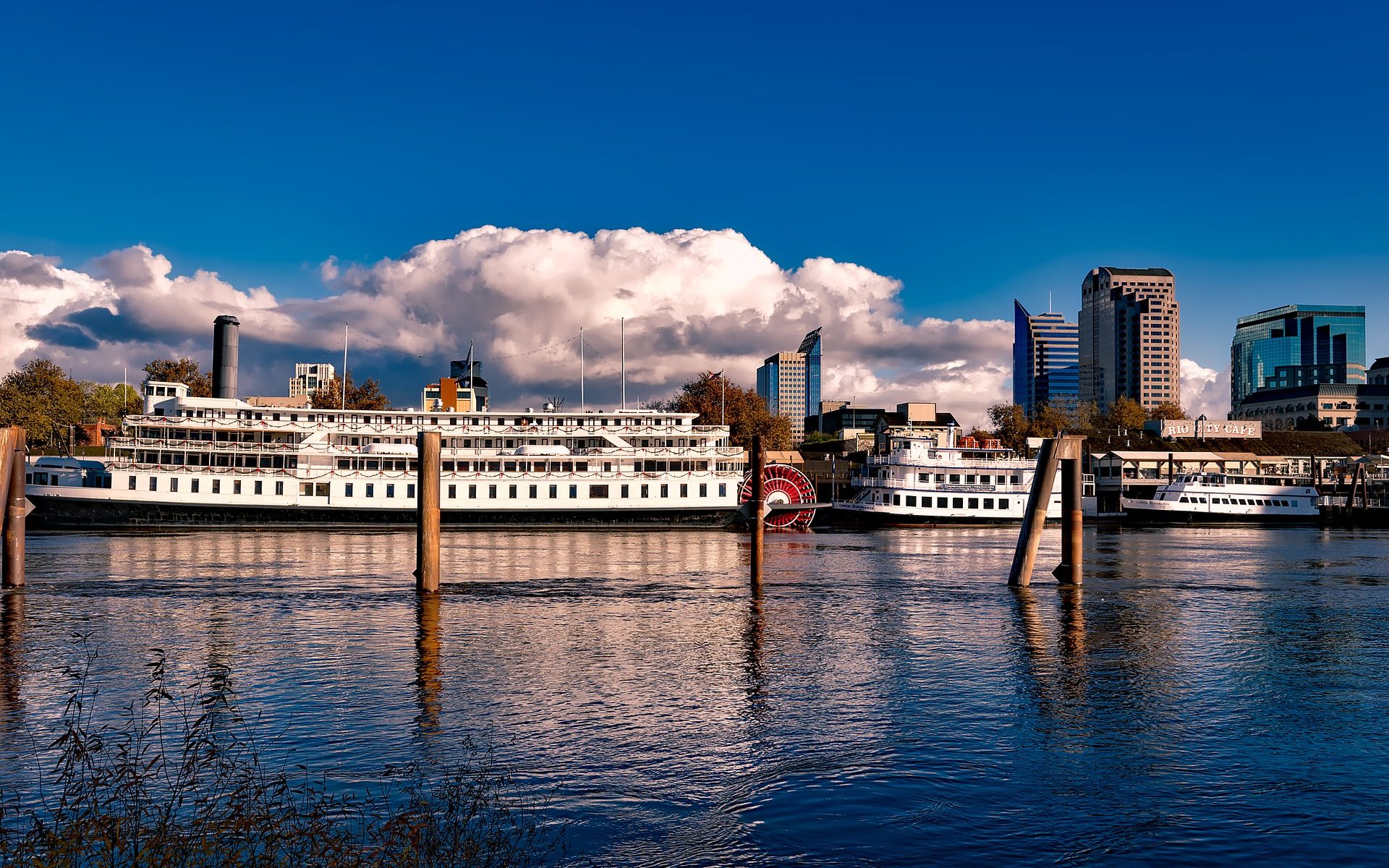Englisch übersetzen Zürich Sacramento