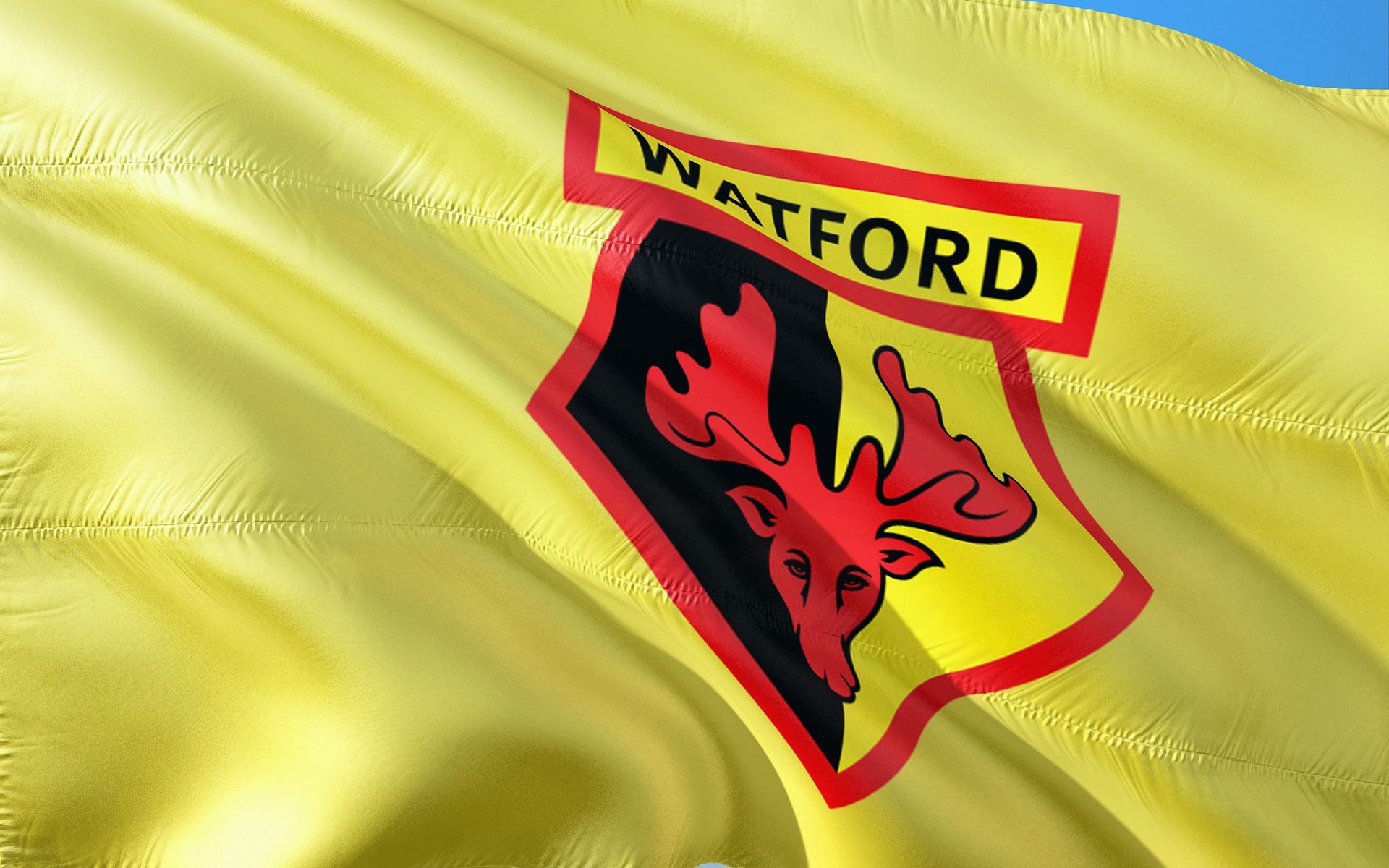 Englisch übersetzen Zürich Watford