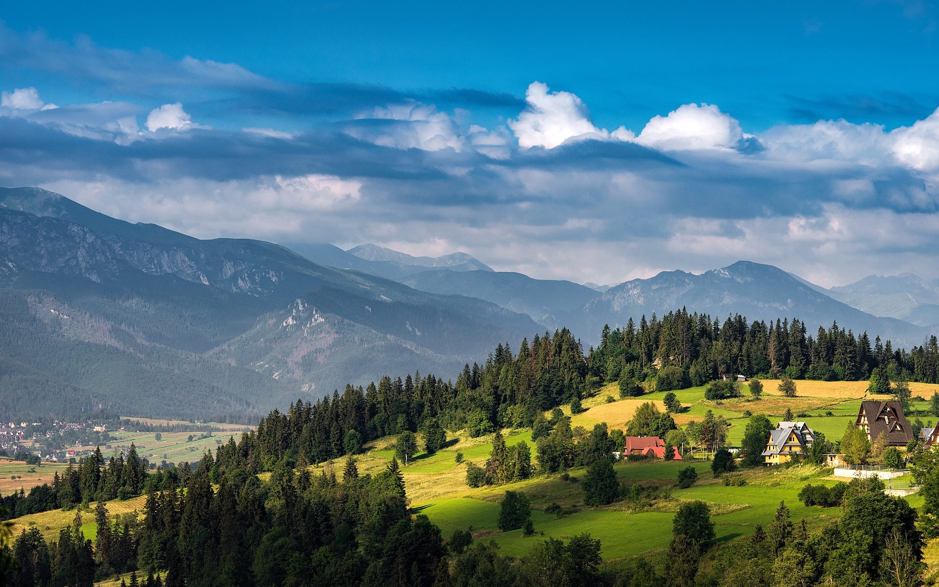 Preise Übersetzung Polnisch-Deutsch-Polnisch