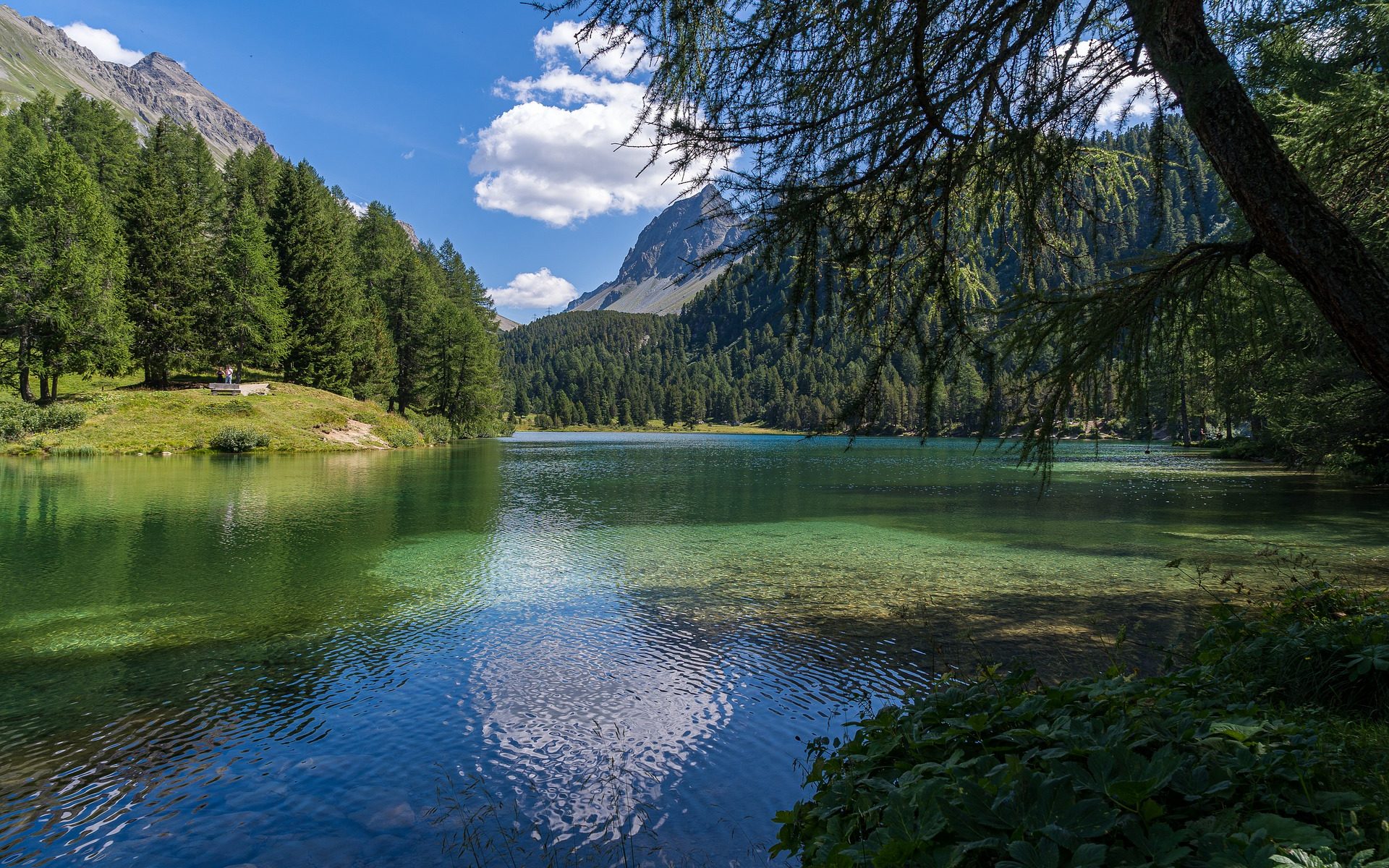 Professional translations in Albula/Alvra