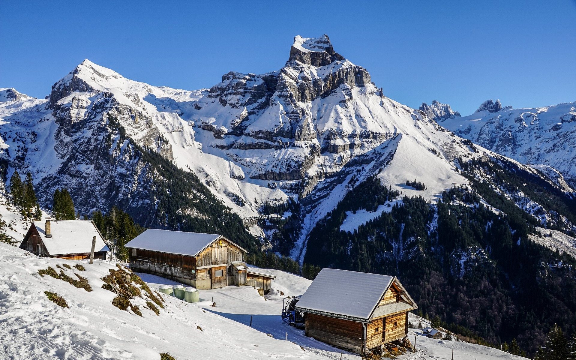 Professional translations in Engelberg