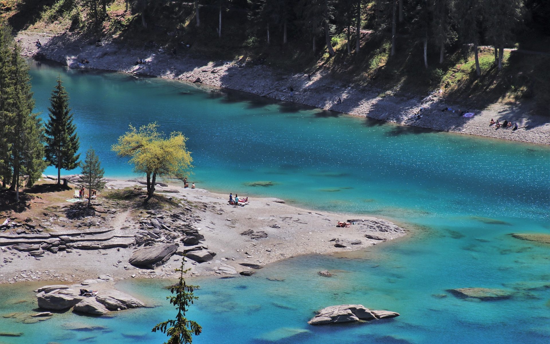 Professional translations in Flims