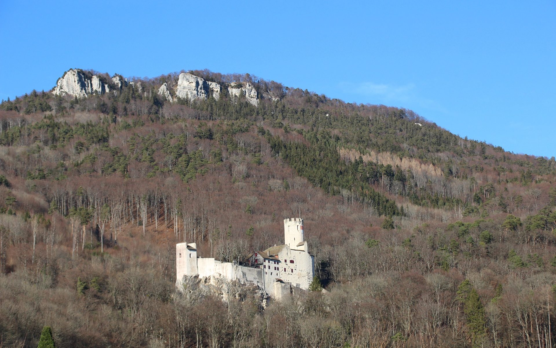 Traduzioni professionali ad Oensingen