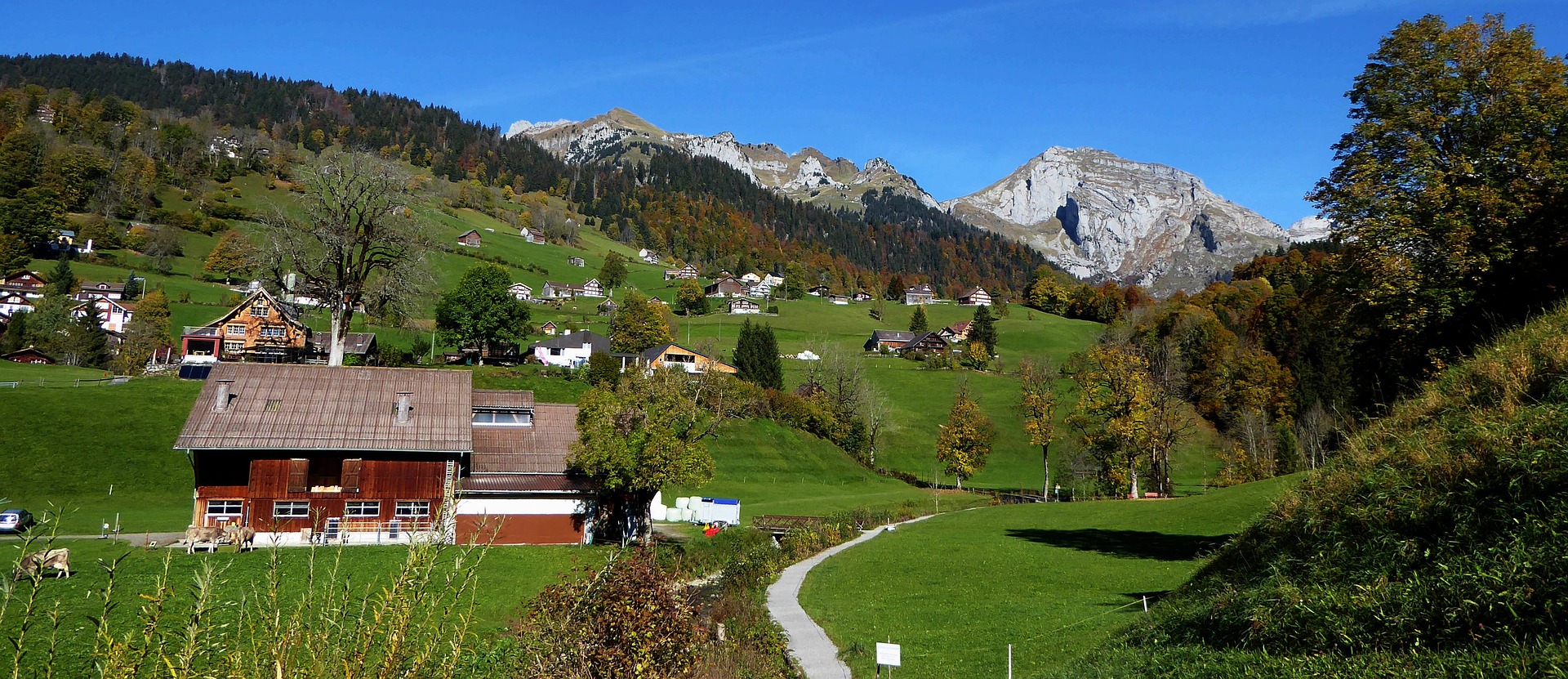 Übersetzungsbüro Rickenbach (TG)