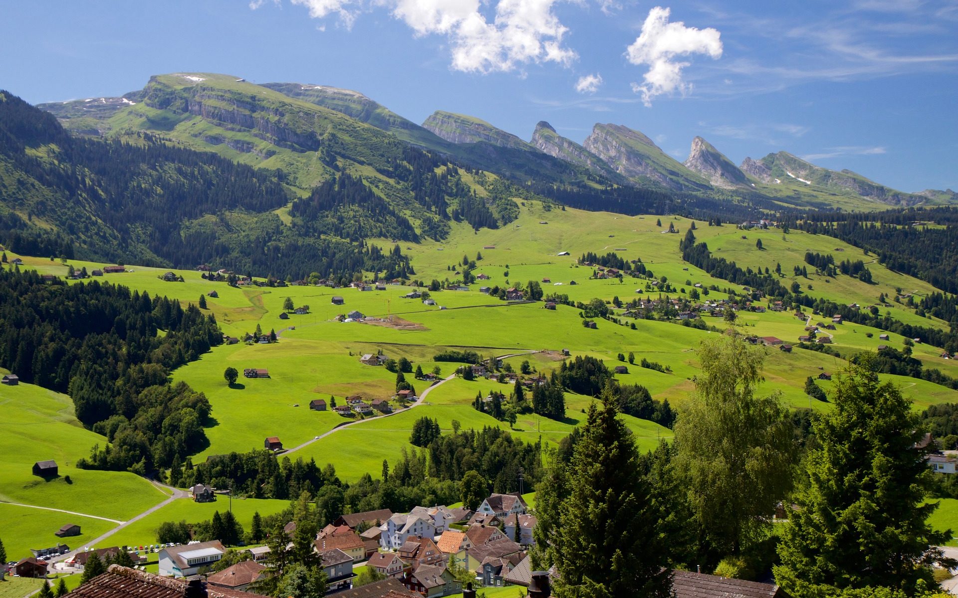 Traduzioni professionali a Walenstadt