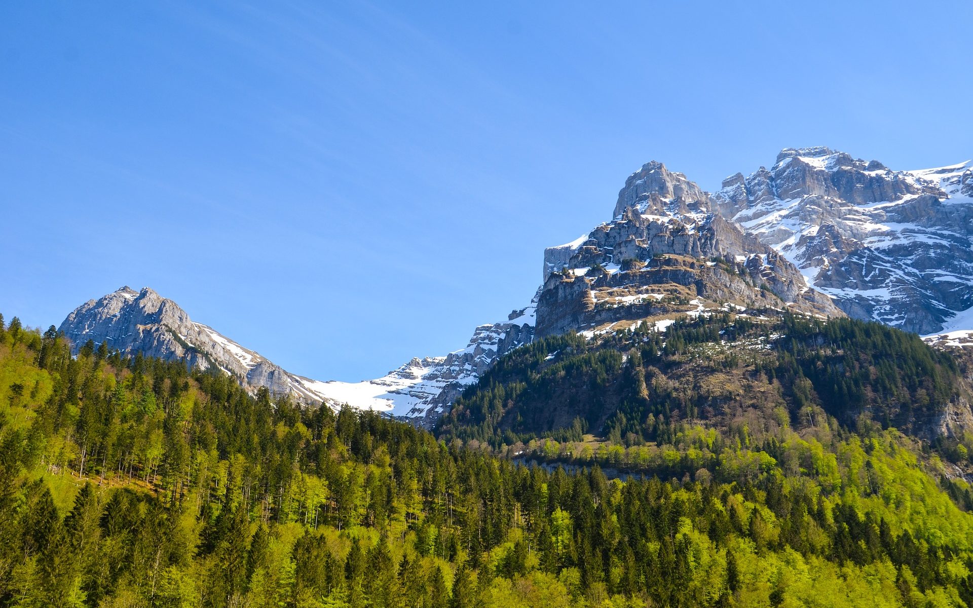 Traduzioni professionali a Betschwanden