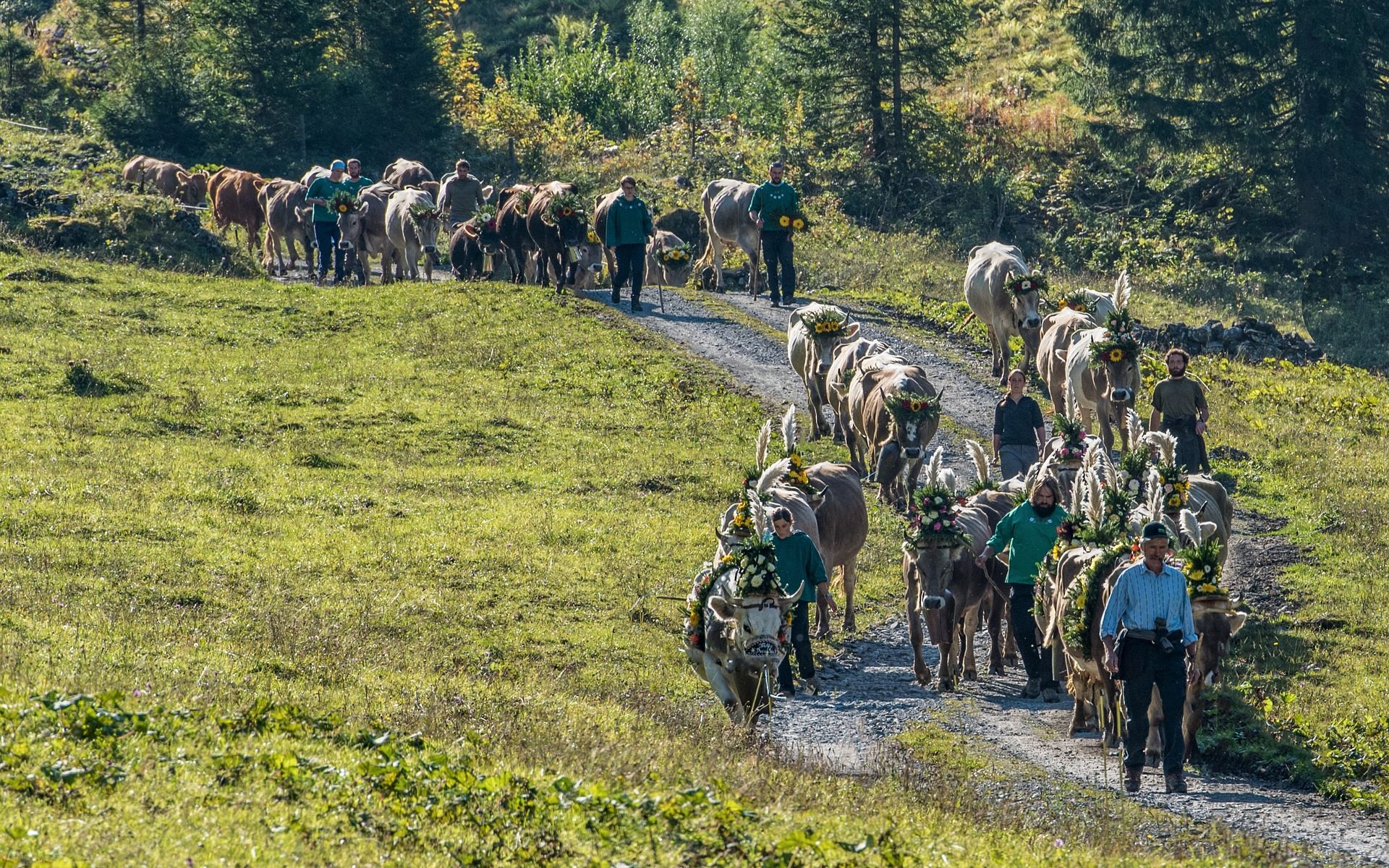 Traductions professionnelles à Elm