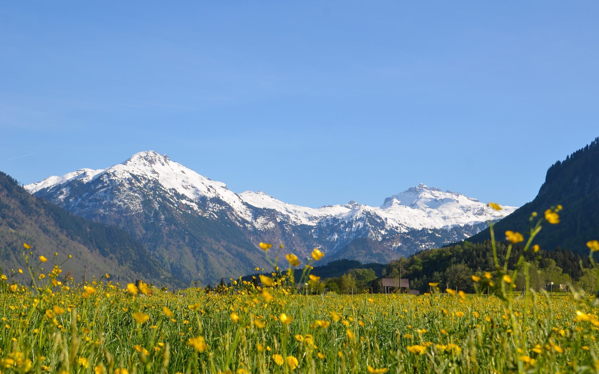 Professional translations in Haslen, Glarus