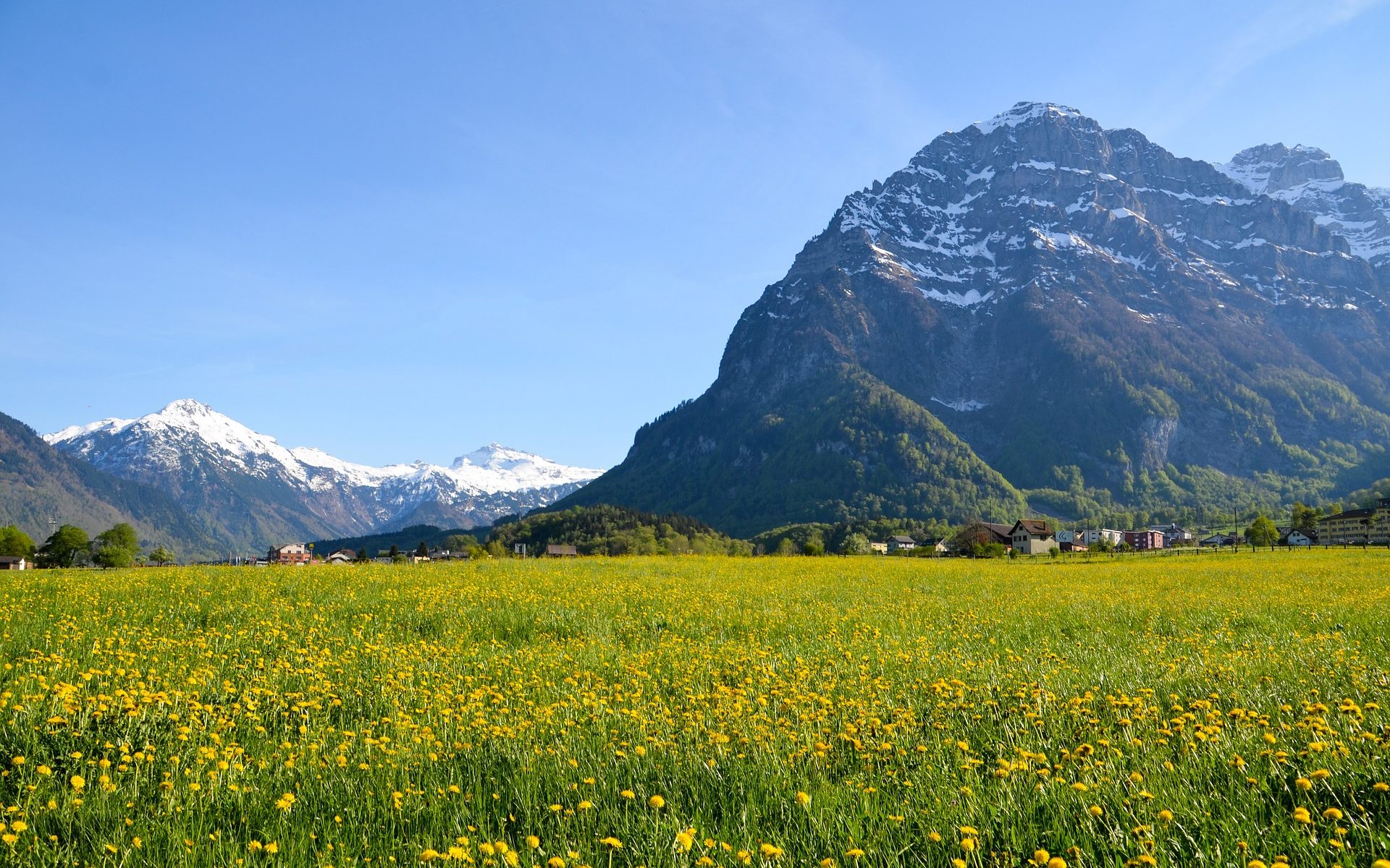 Professional translations in Leuggelbach