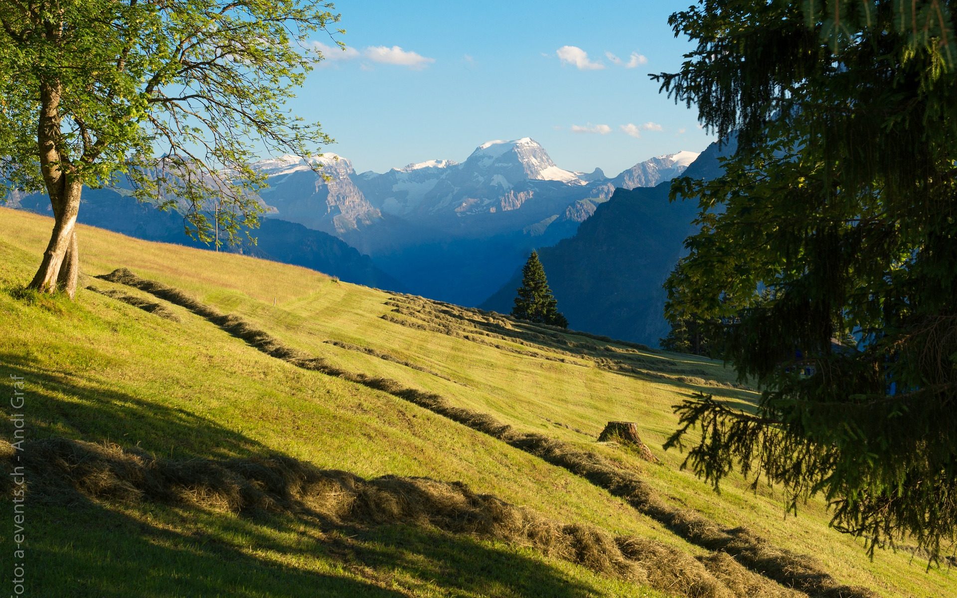 Übersetzungsbüro Schwanden GL