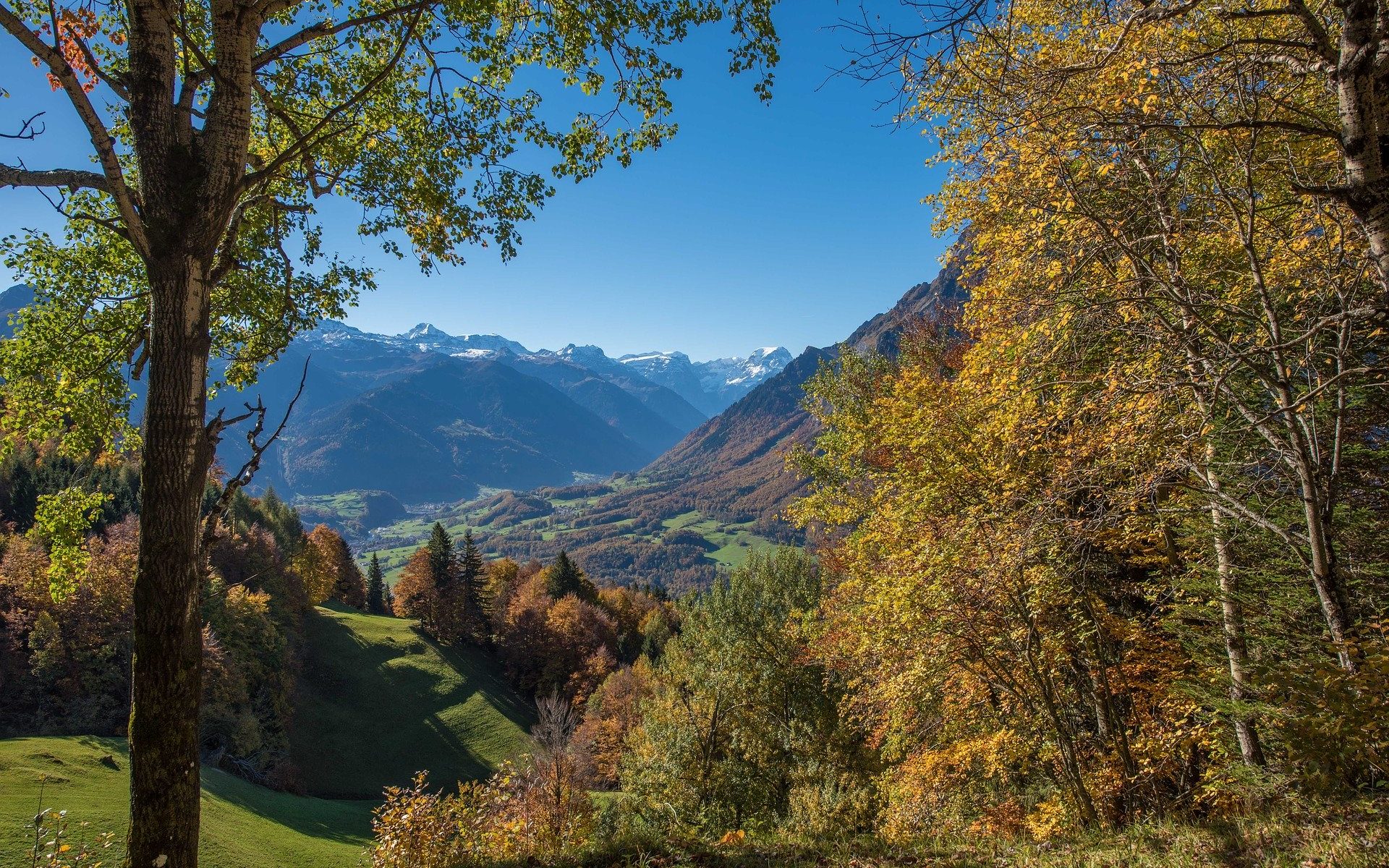 Professional translations in Schwändi, Glarus