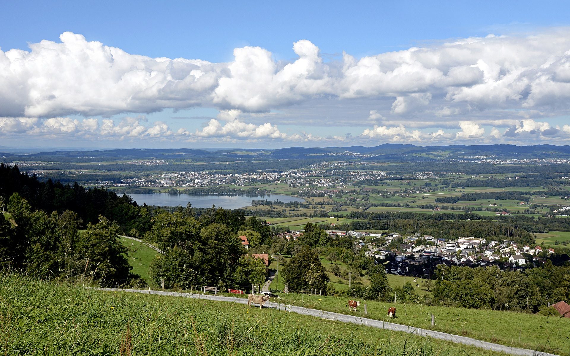 Übersetzungsbüro Greifensee