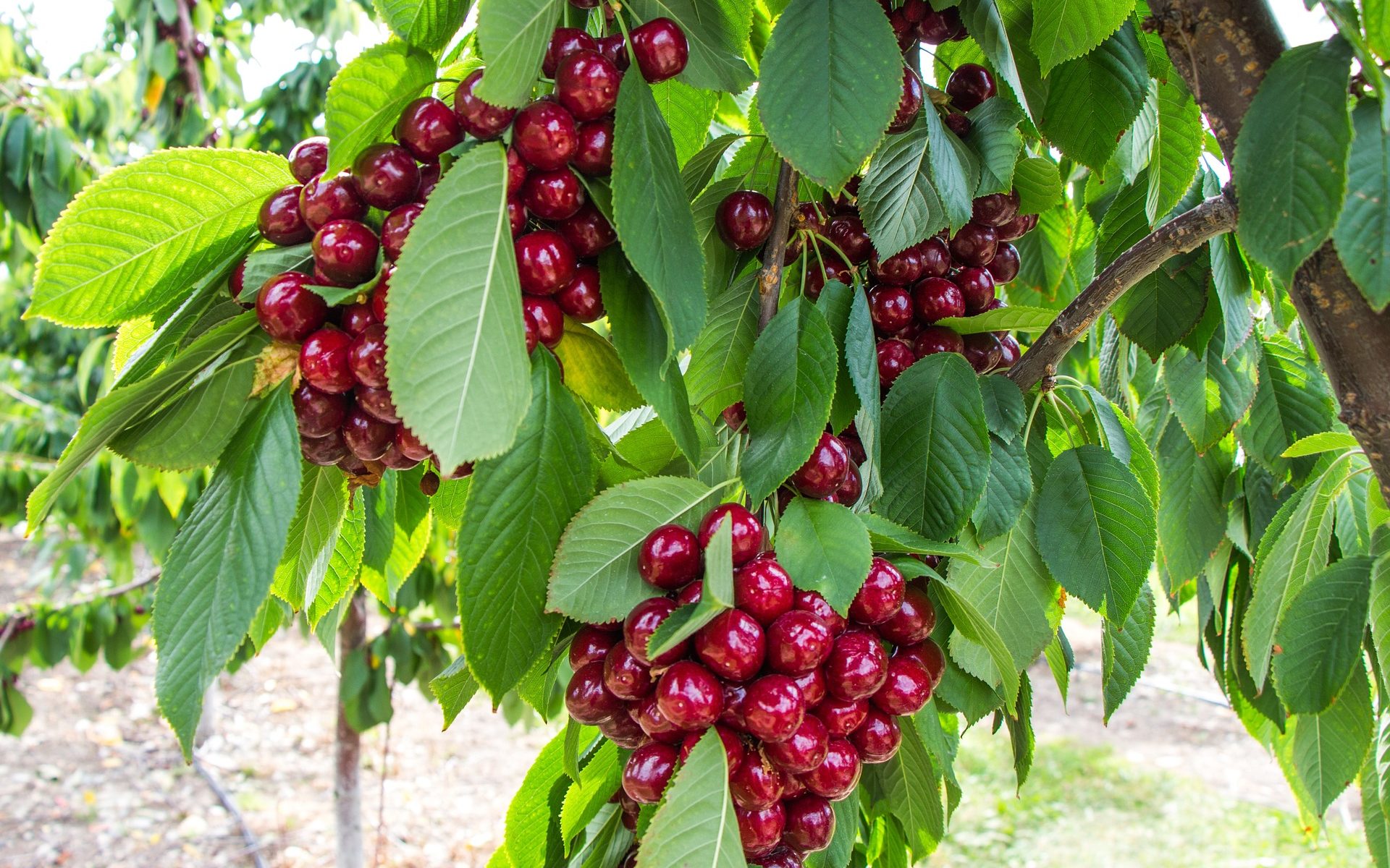 Traductions professionnelles à Metzerlen-Mariastein