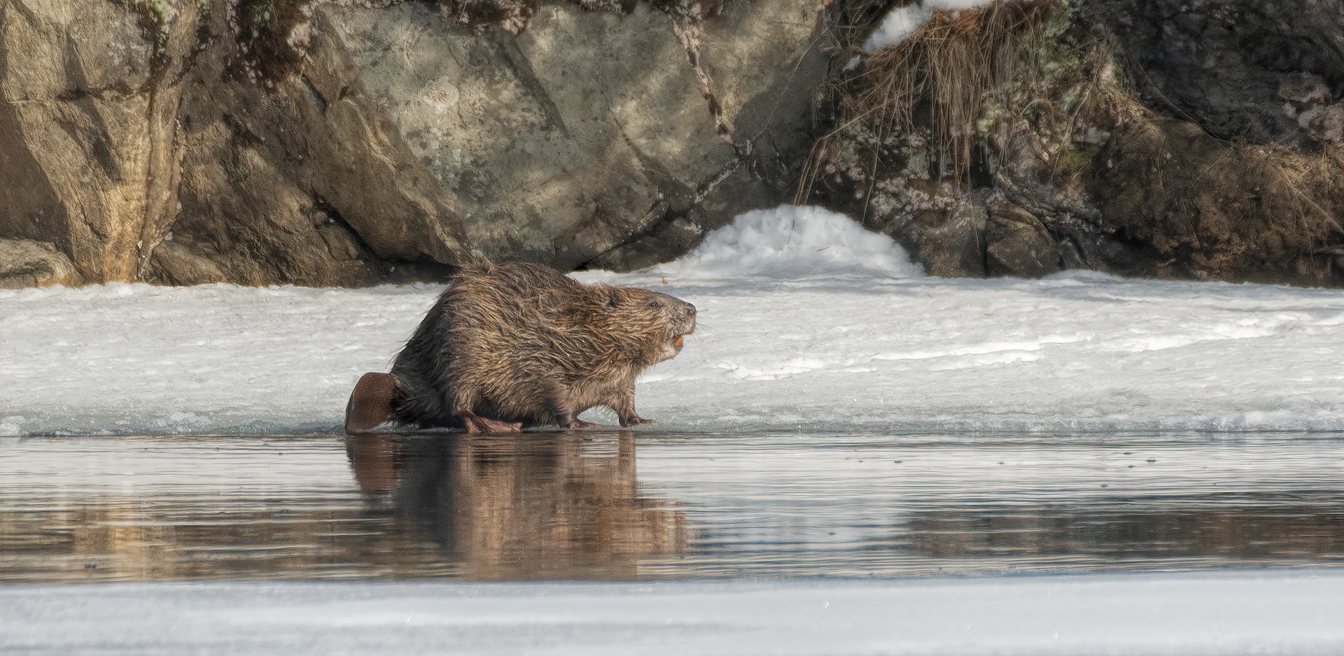 Übersetzungsbüro Bever