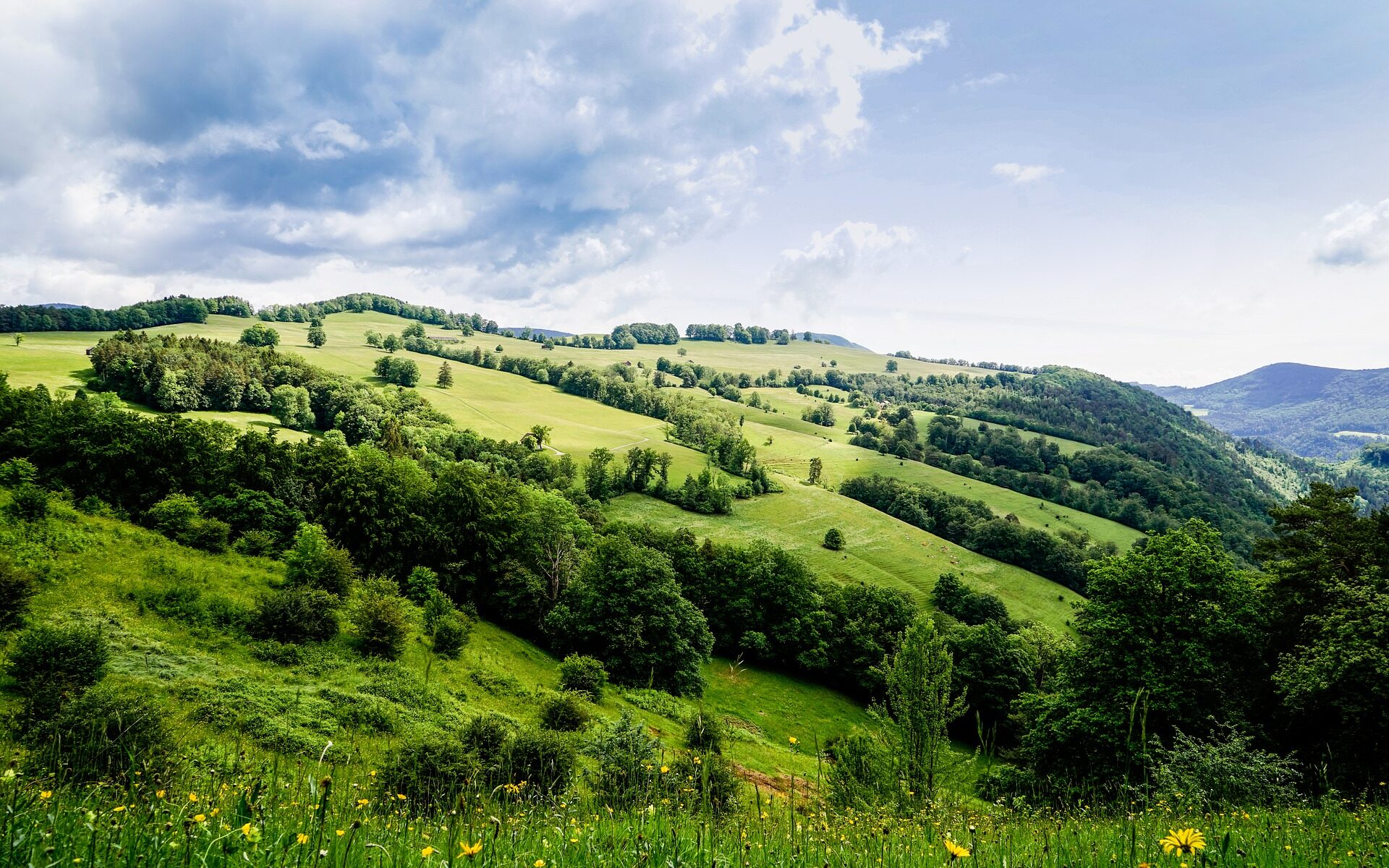 Übersetzungsbüro Herbetswil
