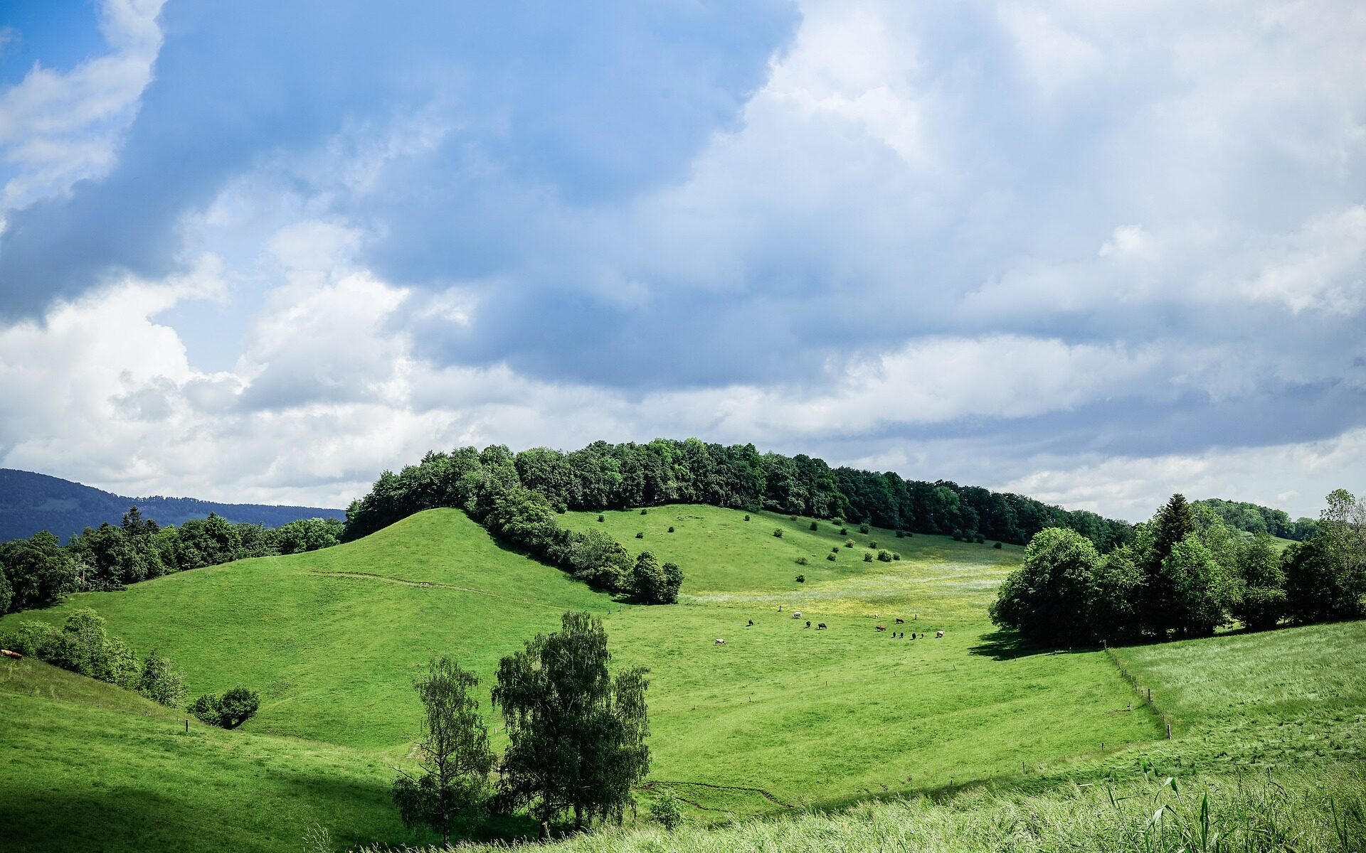 Traductions professionnelles à Matzendorf