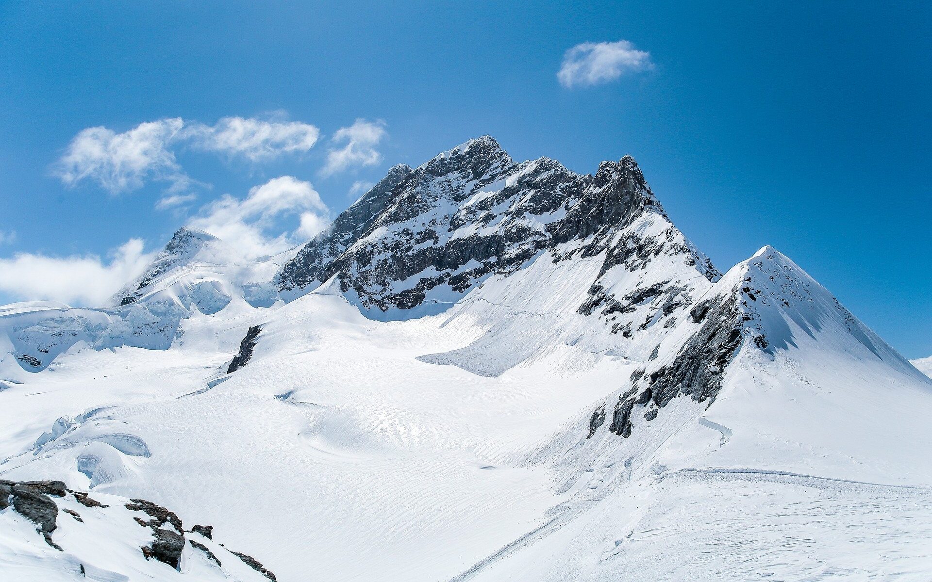 Traduzioni professionali a Wilderswil