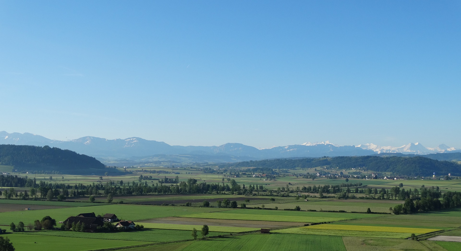 Übersetzungsbüro Alberswil