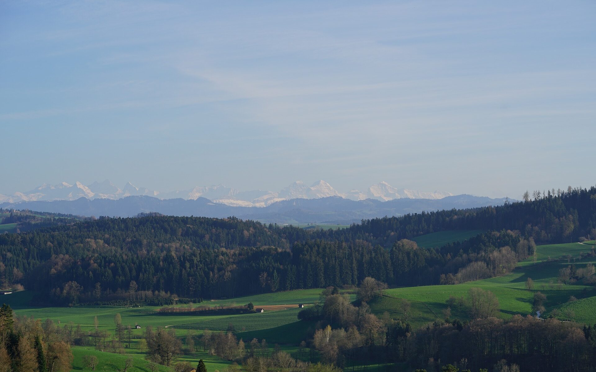 Übersetzungsbüro Altbüron