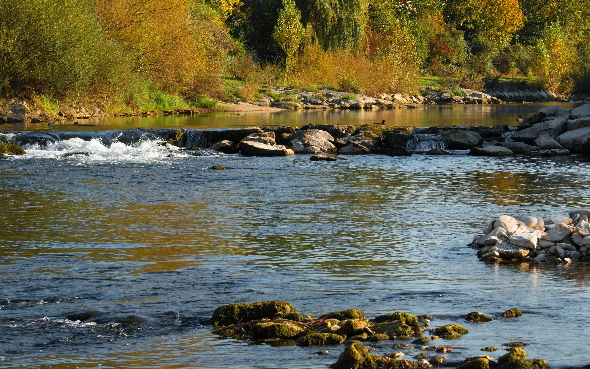 Übersetzungsbüro Arlesheim