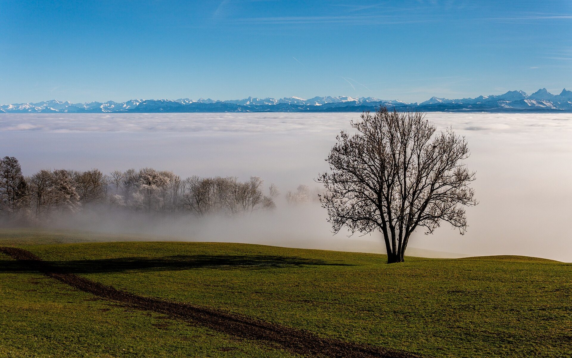 Übersetzungsbüro Balm bei Günsberg