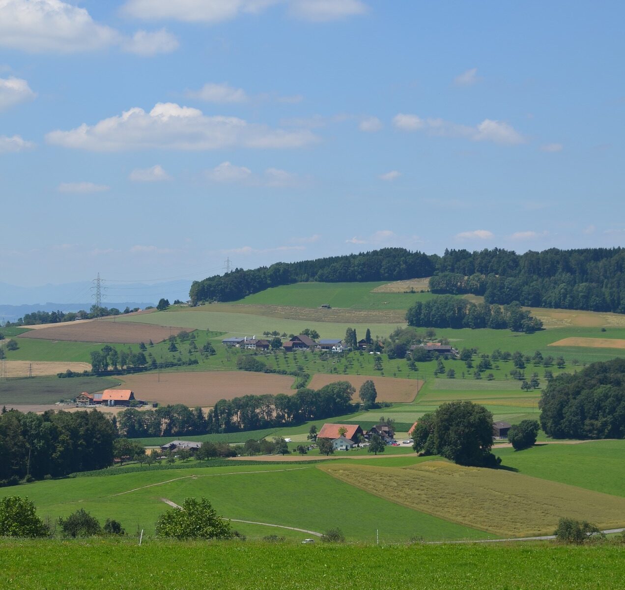 Übersetzungsbüro Beromünster