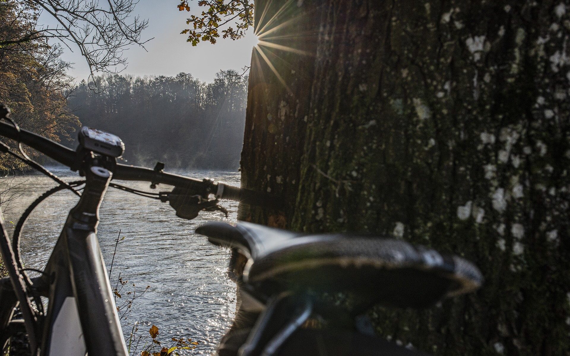 Professional translations in Luterbach