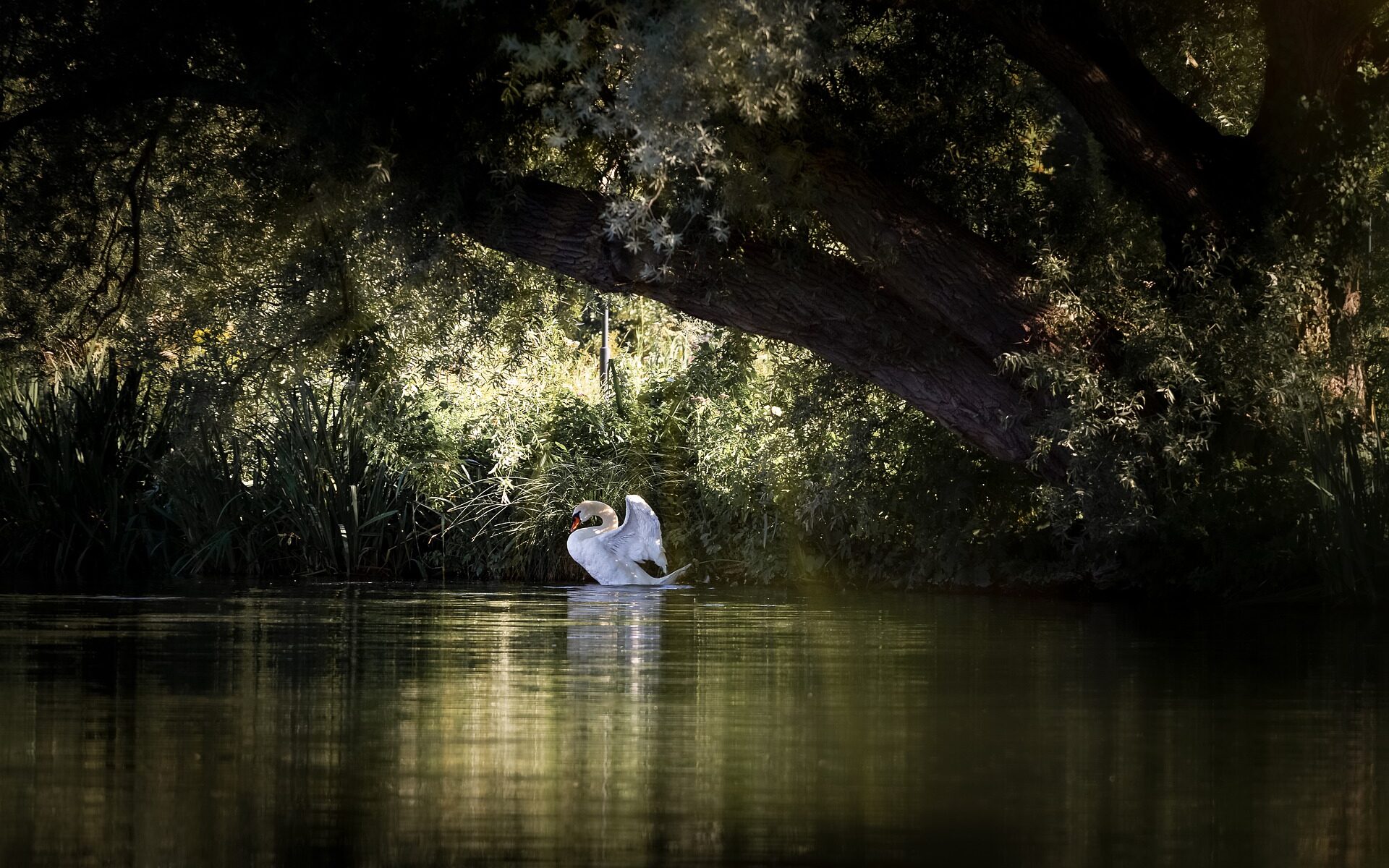 Traduzioni professionali a Münchenstein